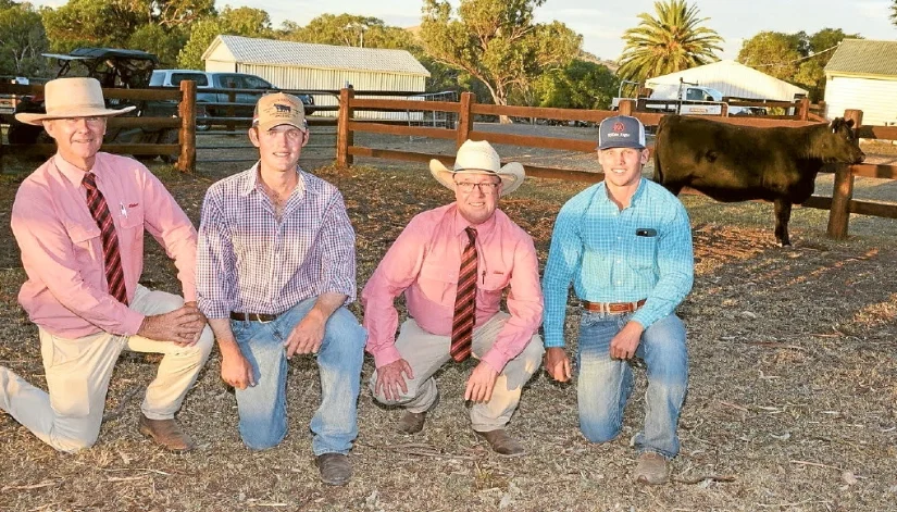 March 2026 The Land Article - Killain heifers hit $26k
