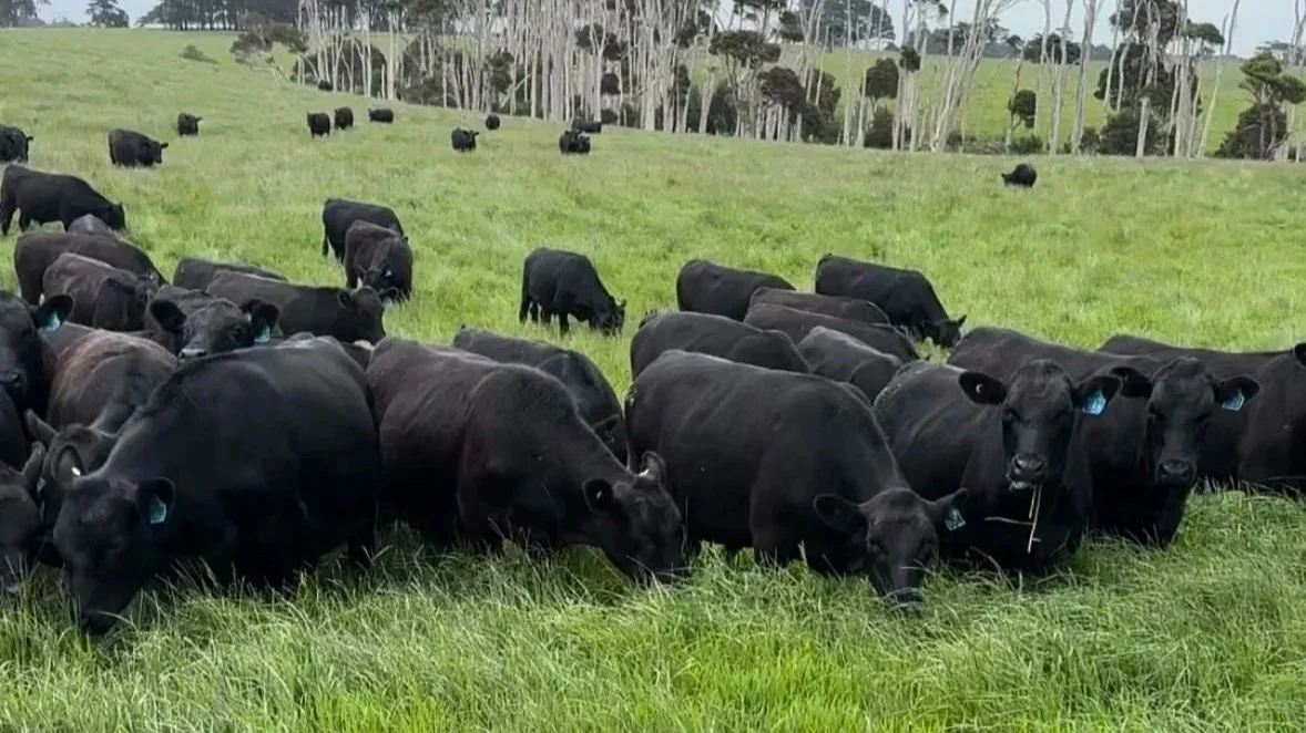 King Island Photo.jpg