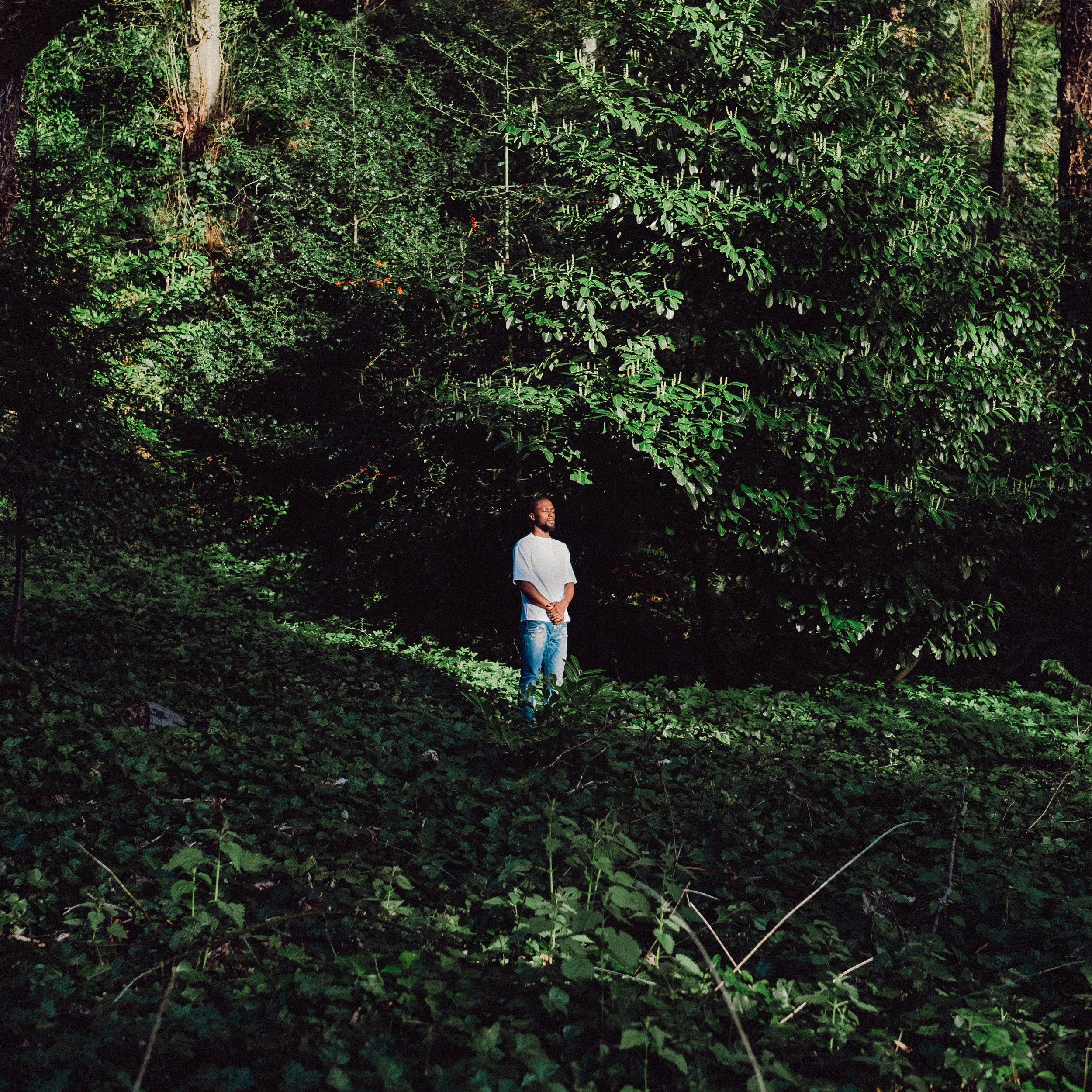 NYLES – 'FREE FUEGO'