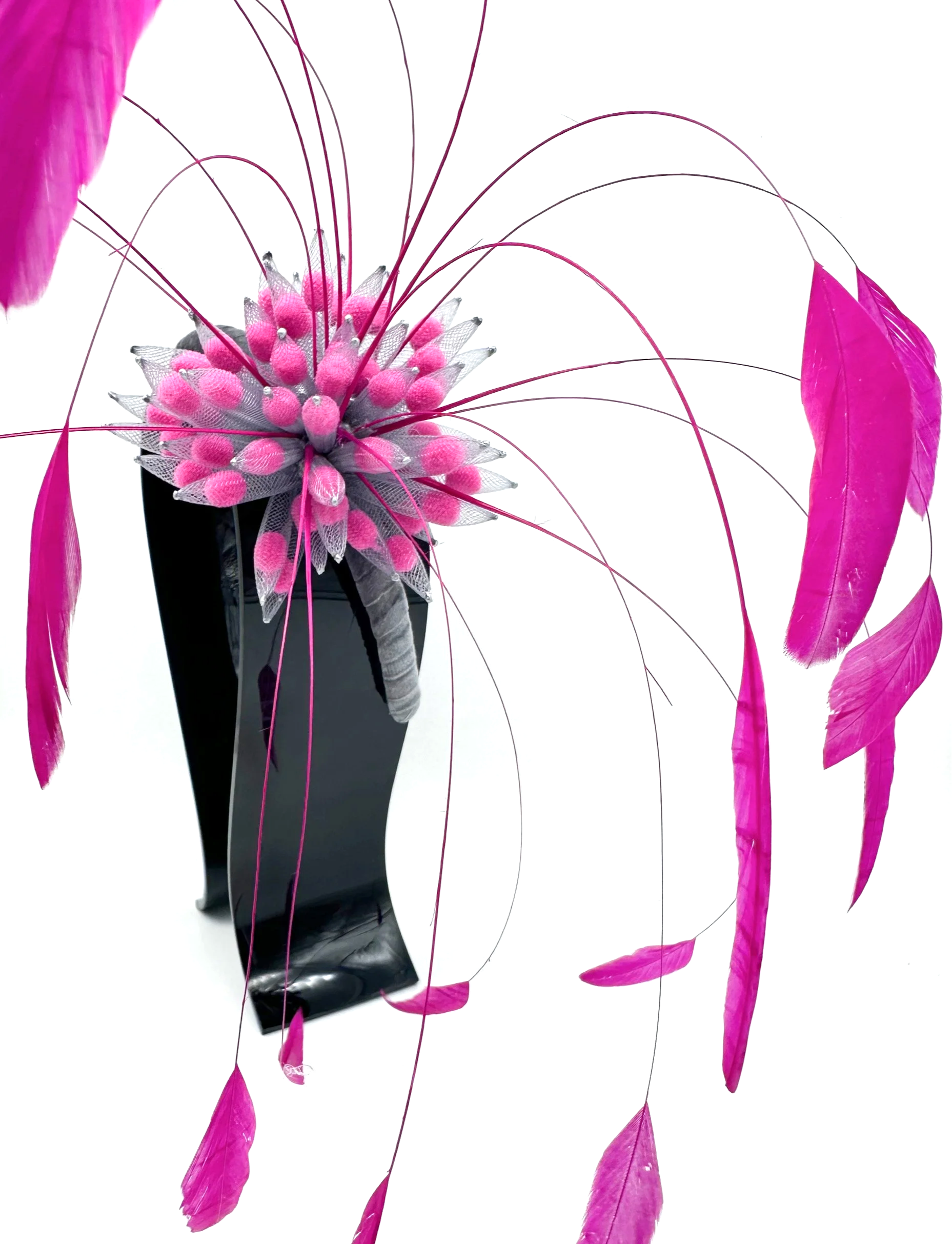 IMG_3445.png