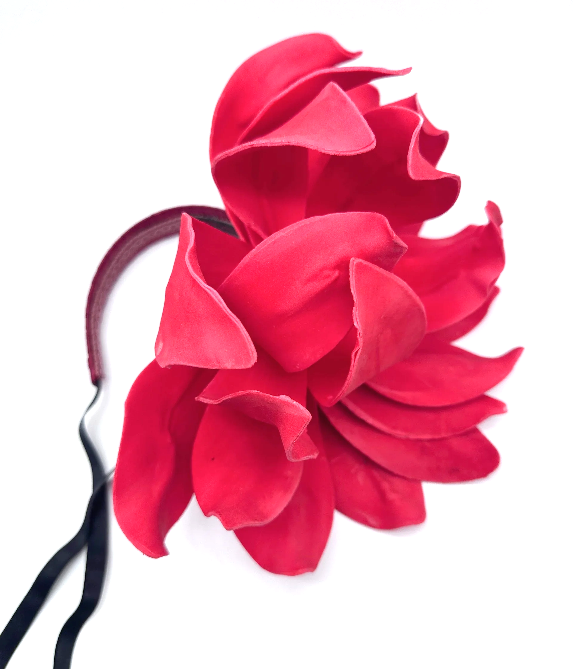 IMG_4666.png