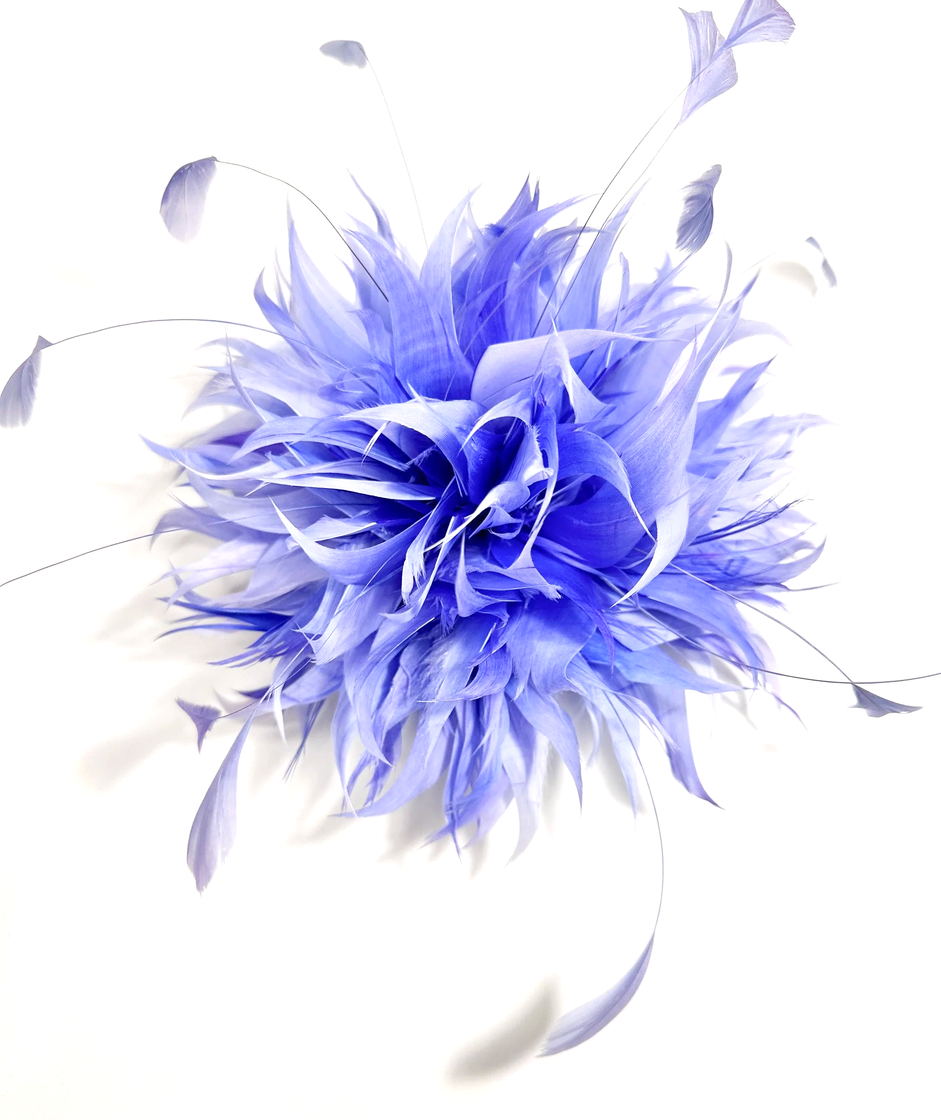 Spille piume con antennine