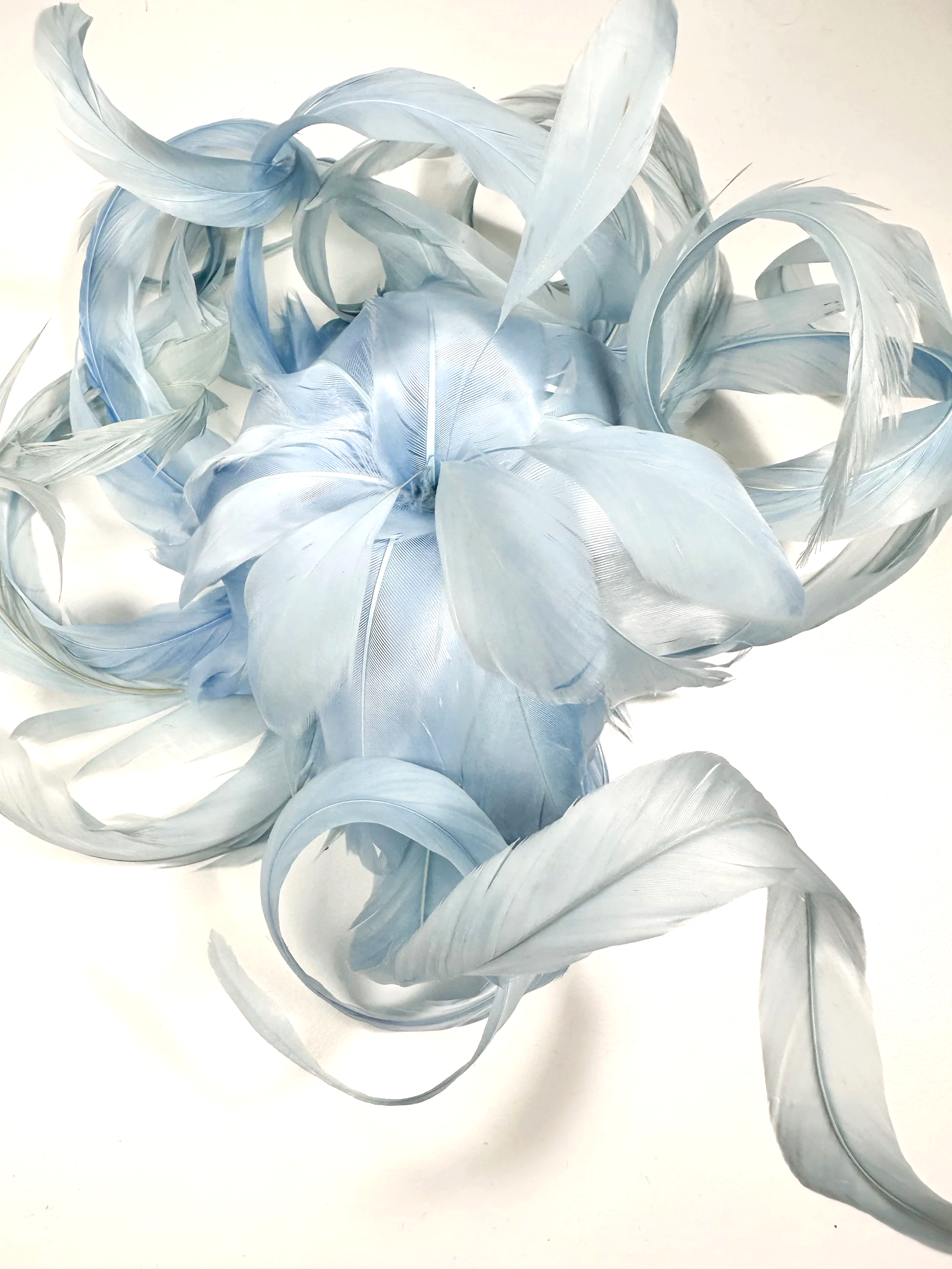 IMG_0090.png