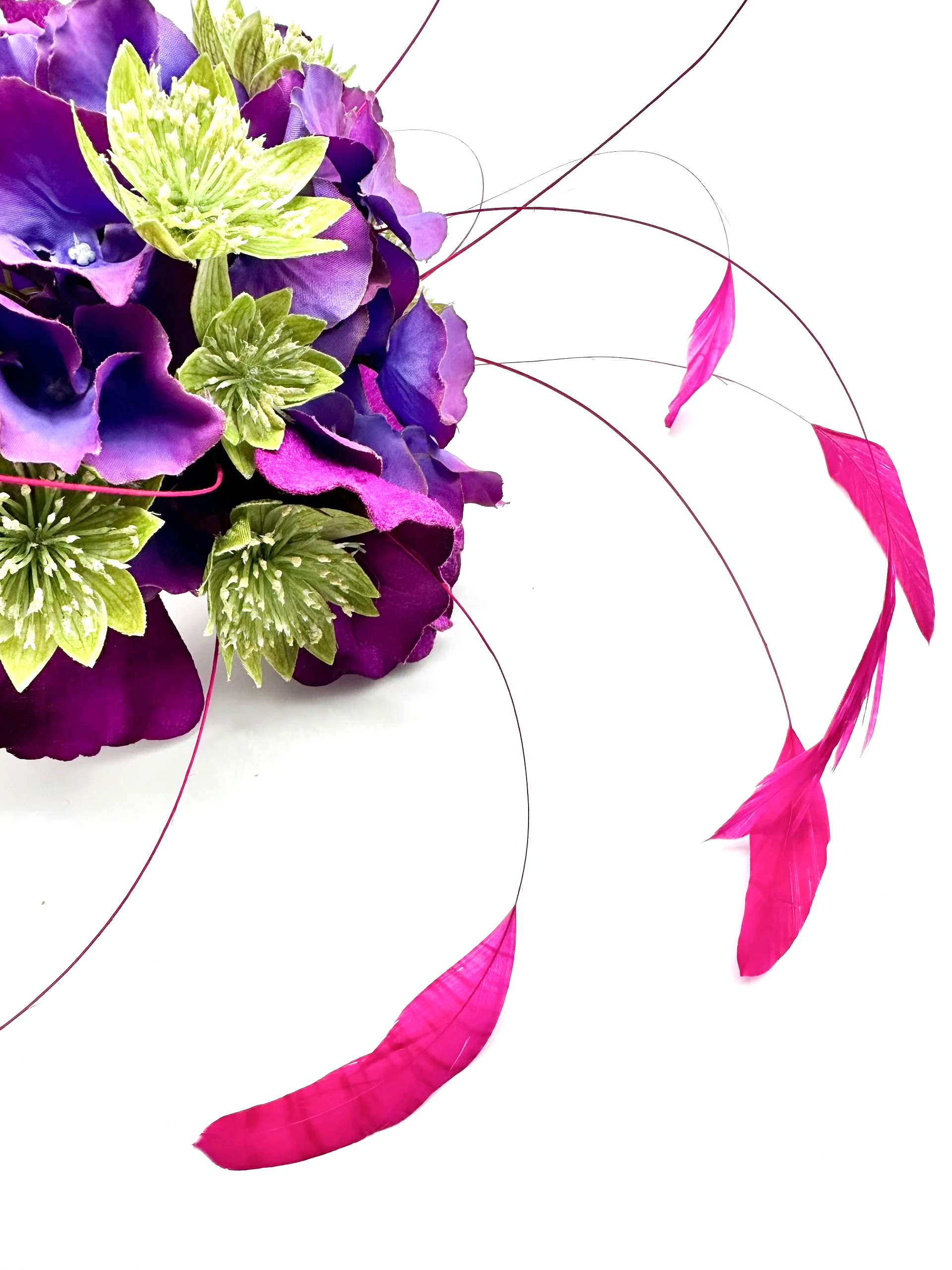 IMG_2316+2.png