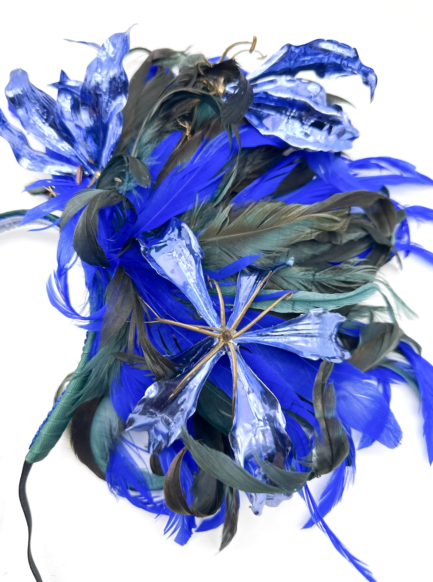 IMG_8925.png