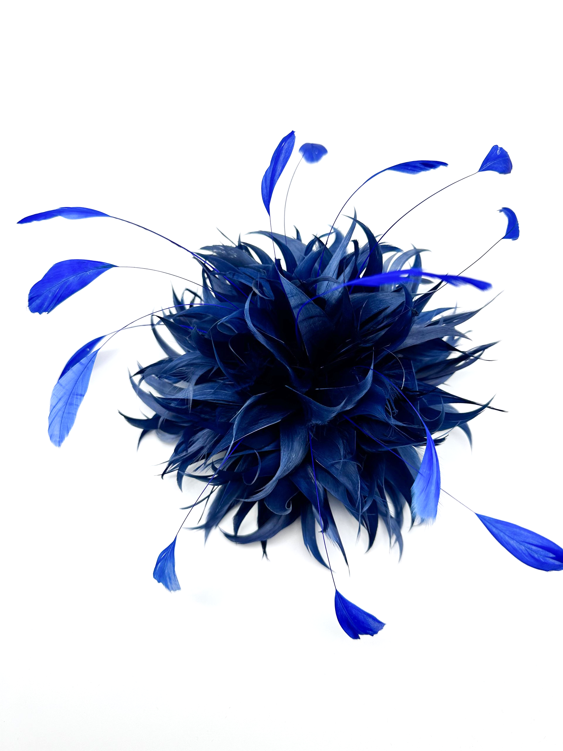 IMG_0583.png