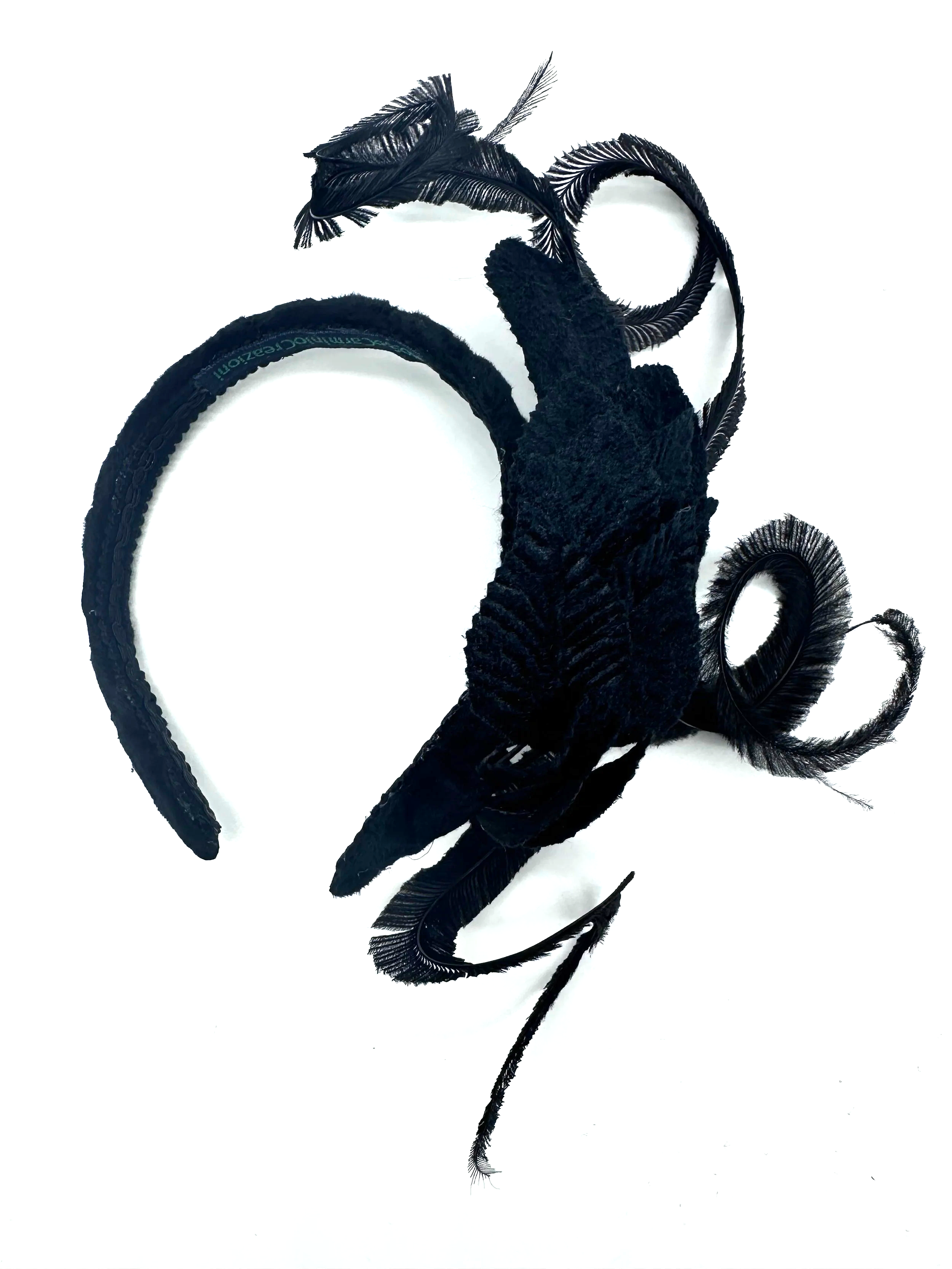 IMG_0260.png