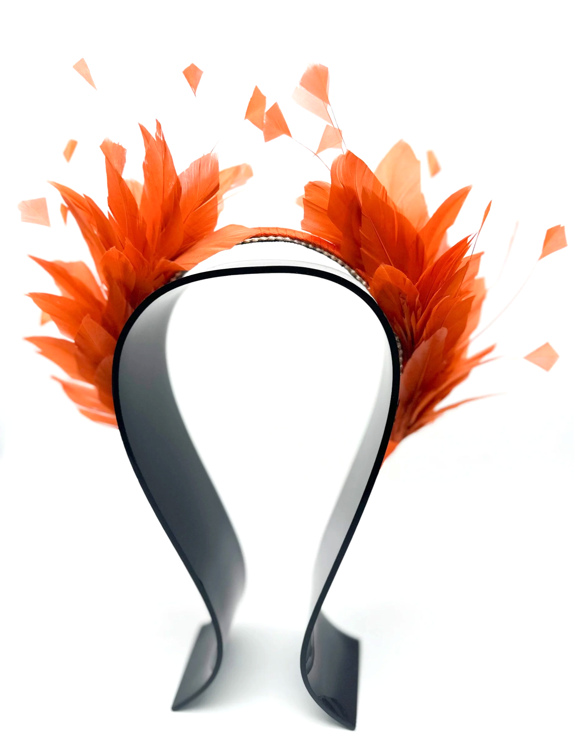 IMG_4145.png