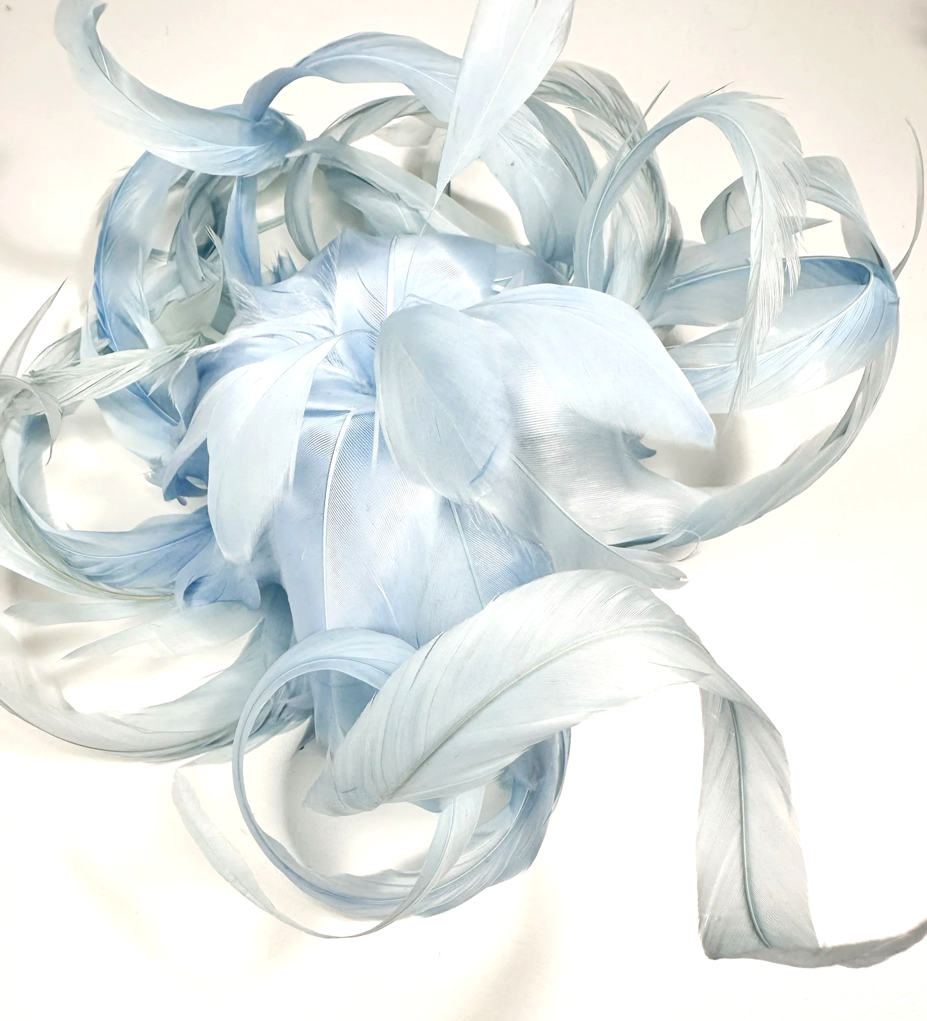 IMG_0091.png