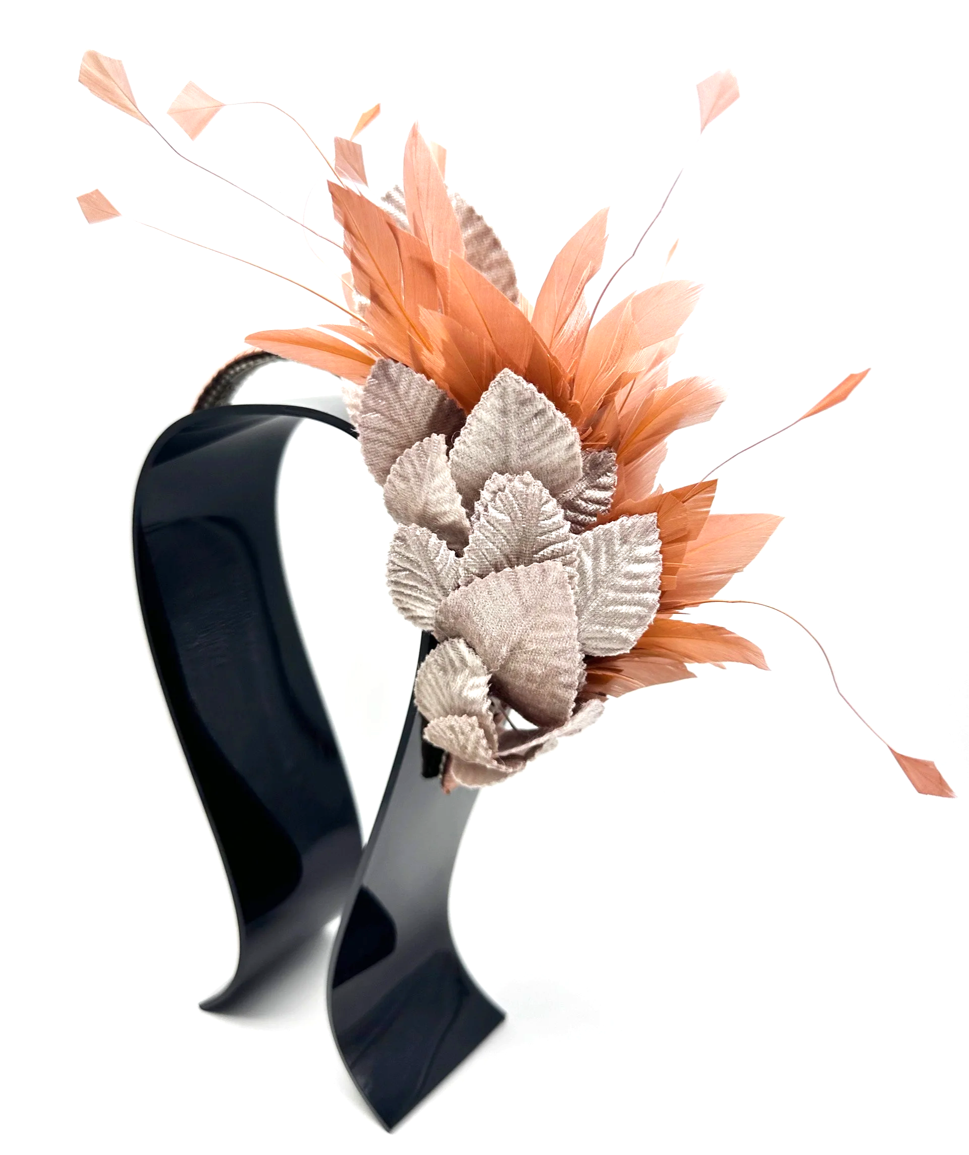 IMG_2281.png