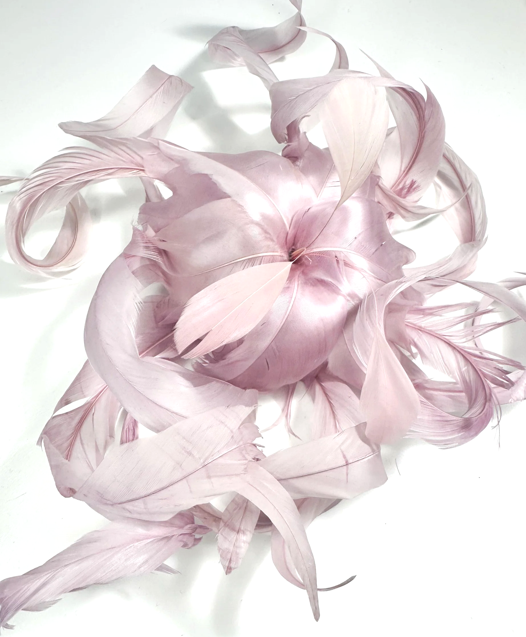 IMG_0093.png