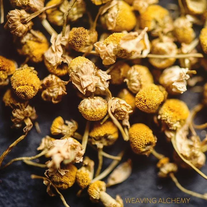 weaving alchemy chamomile.jpg