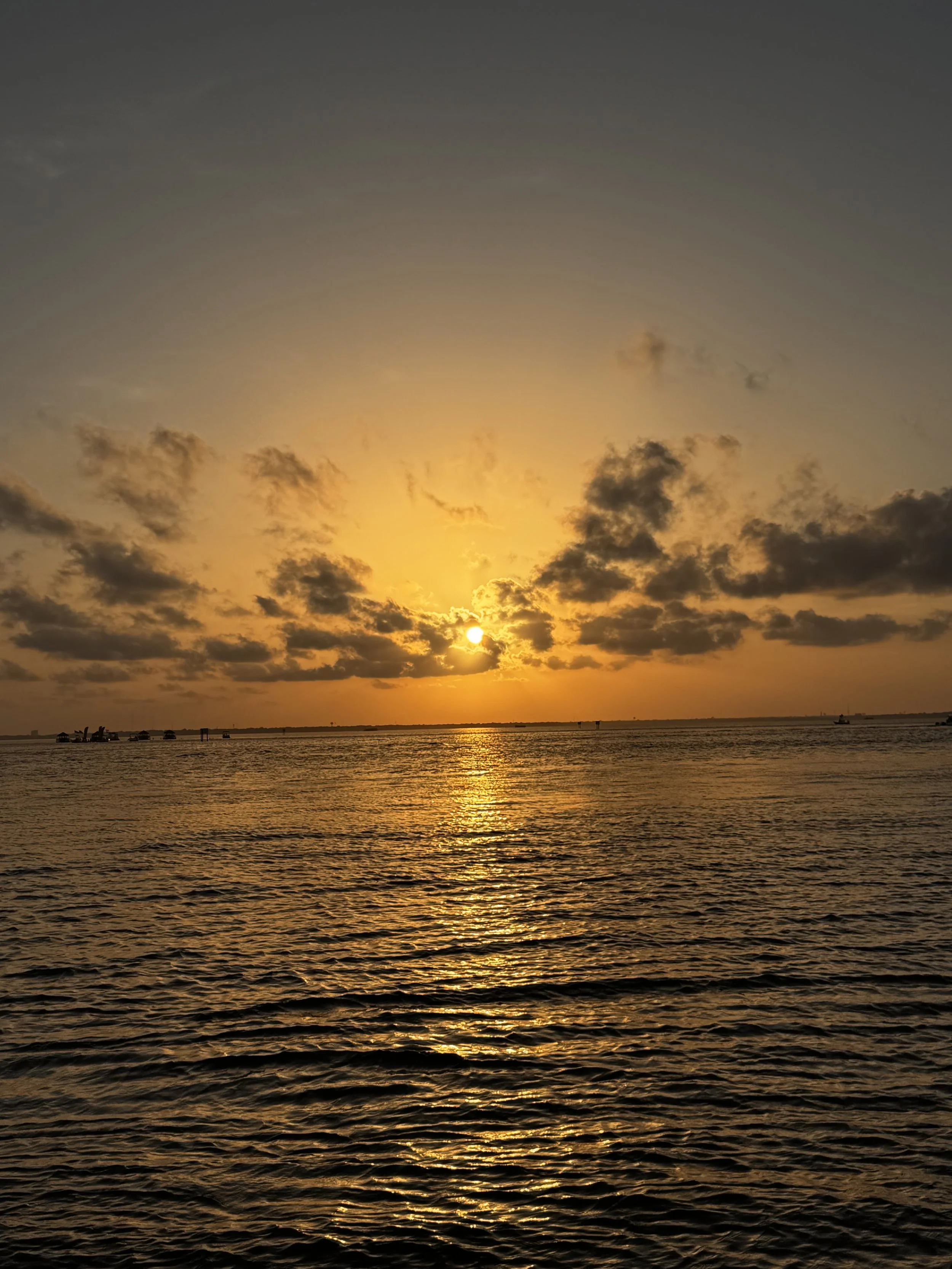 IMG_4739.jpeg