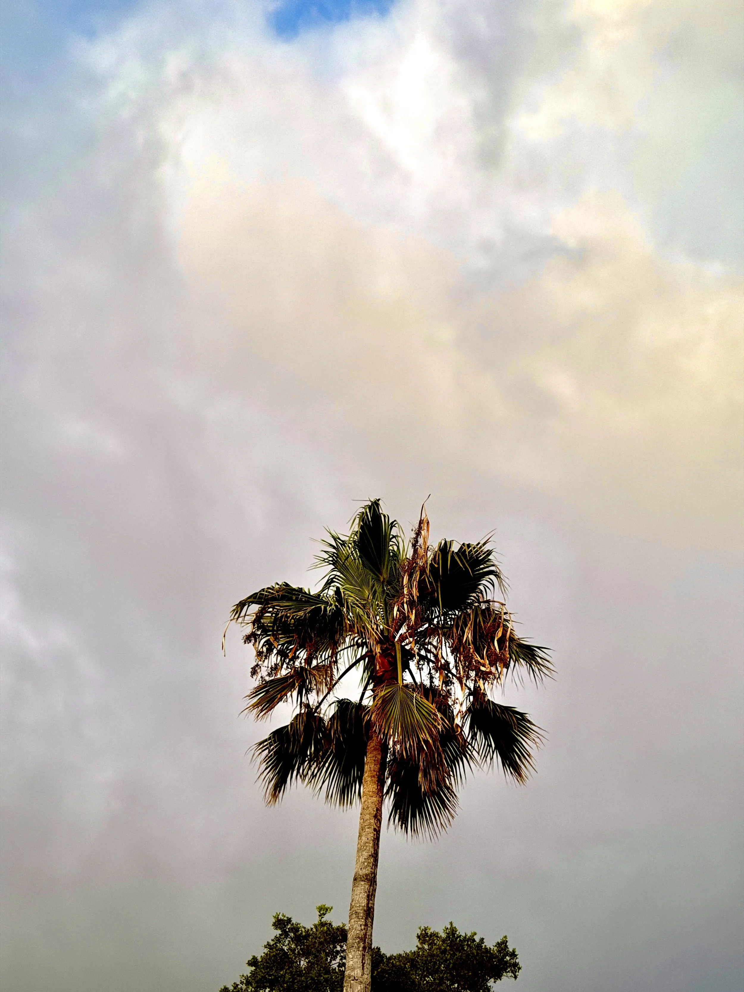 IMG_4623.jpeg