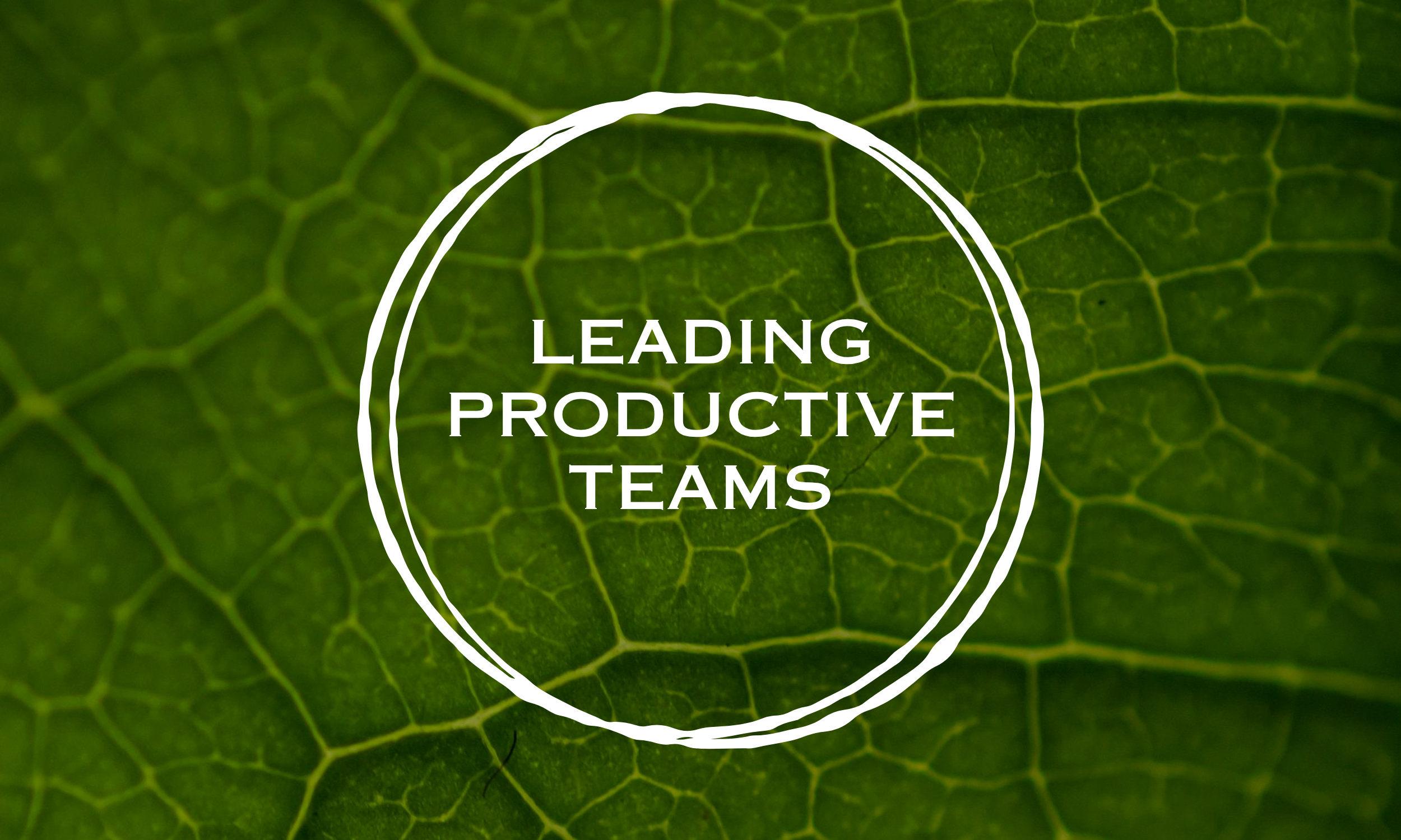 LEADING PRODUCTIVE TEAMS