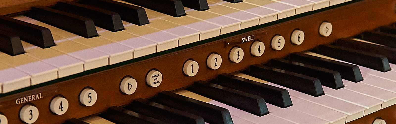 hero_organ1.png