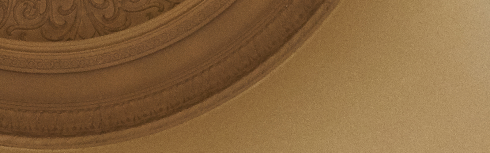 hero_ceiling8.png