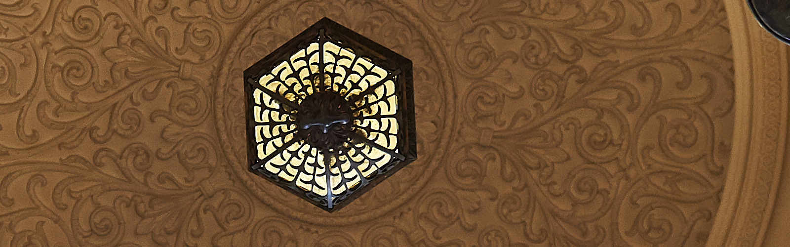 hero_ceiling6.png