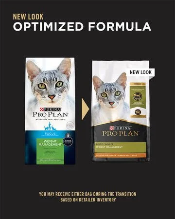 ppwc cat.jpg