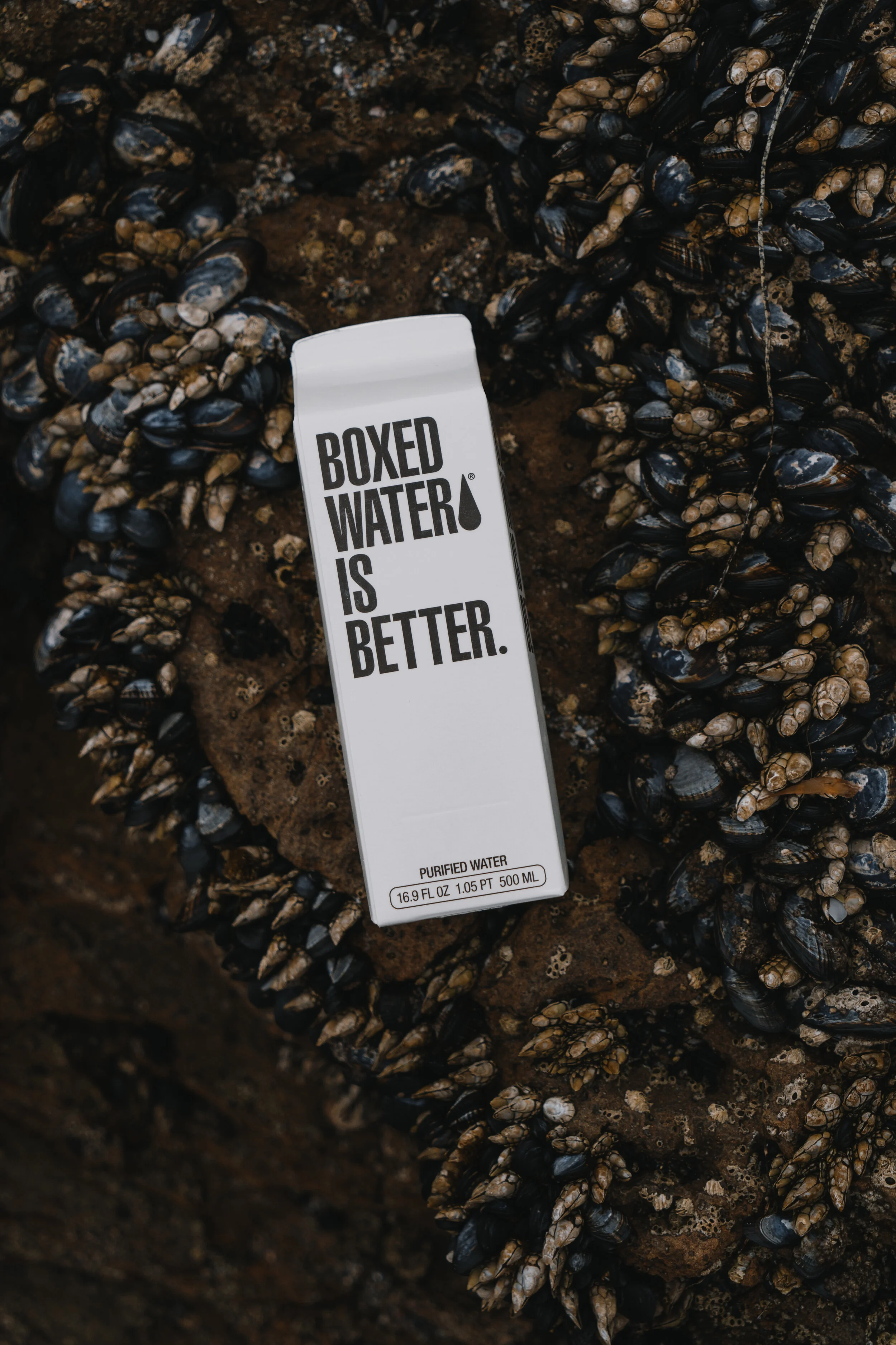 Boxed Water - Laguna Beach, CA