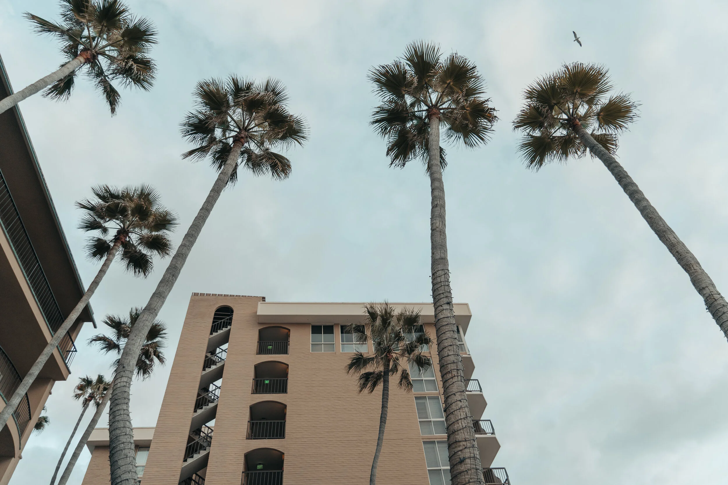 Surf & Sand - Laguna Beach, CA