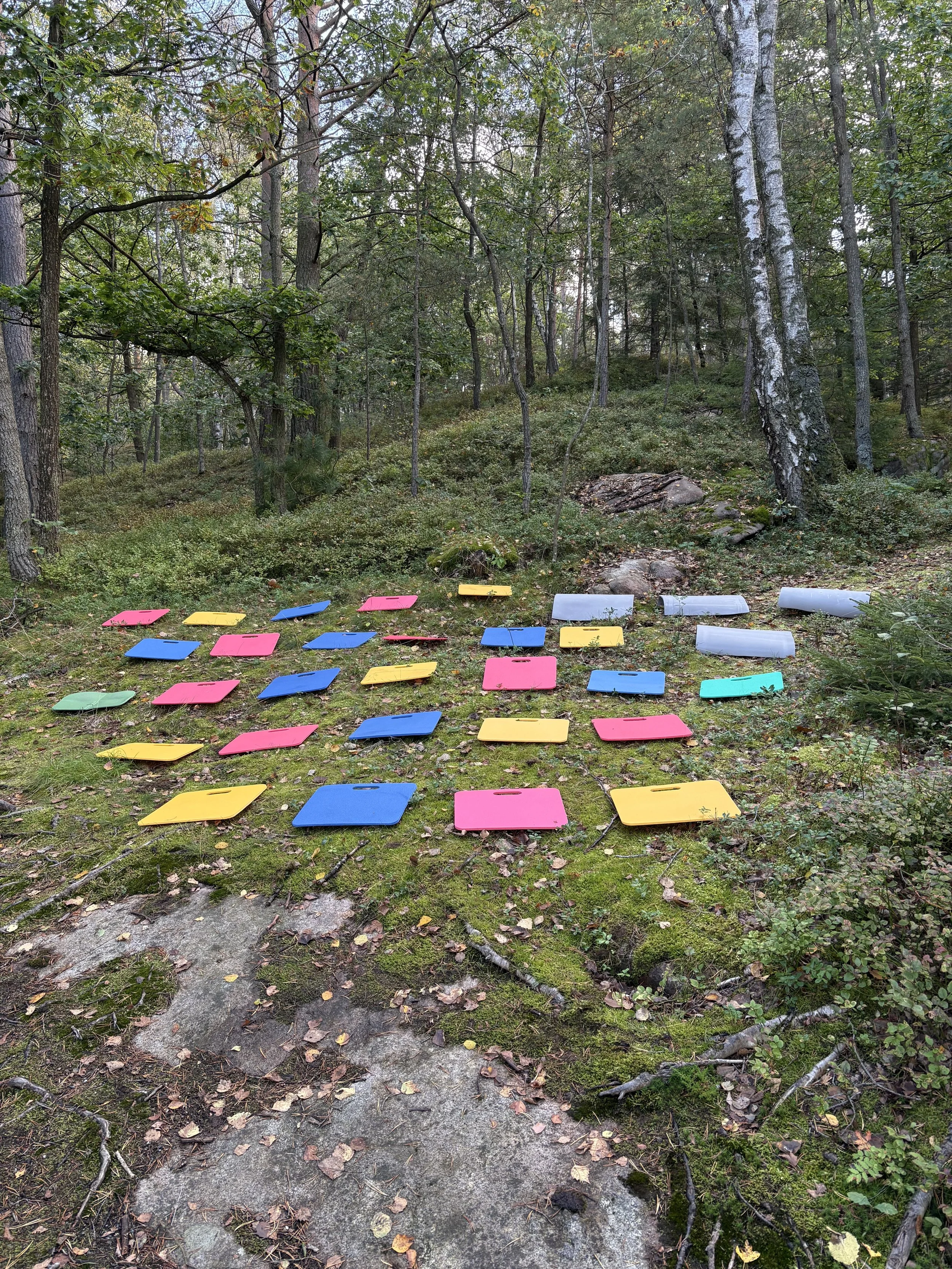 Skogskänsla