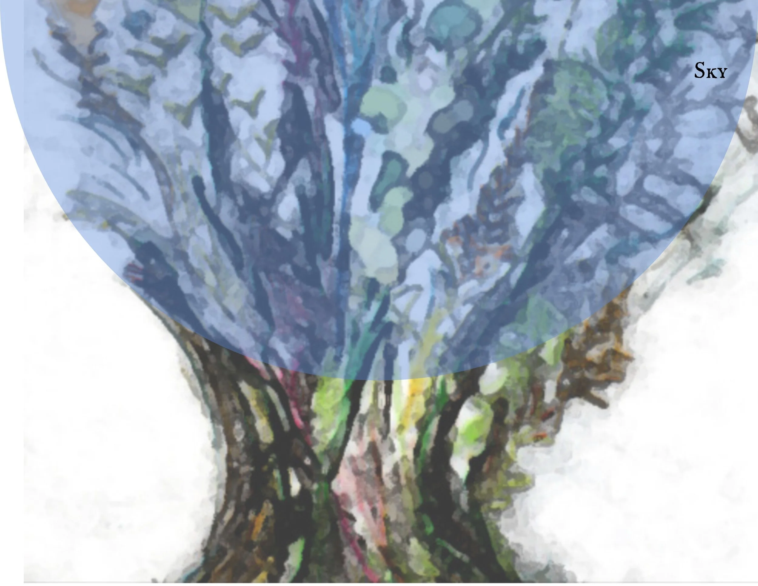 World Tree Mandorla 1-2.jpg