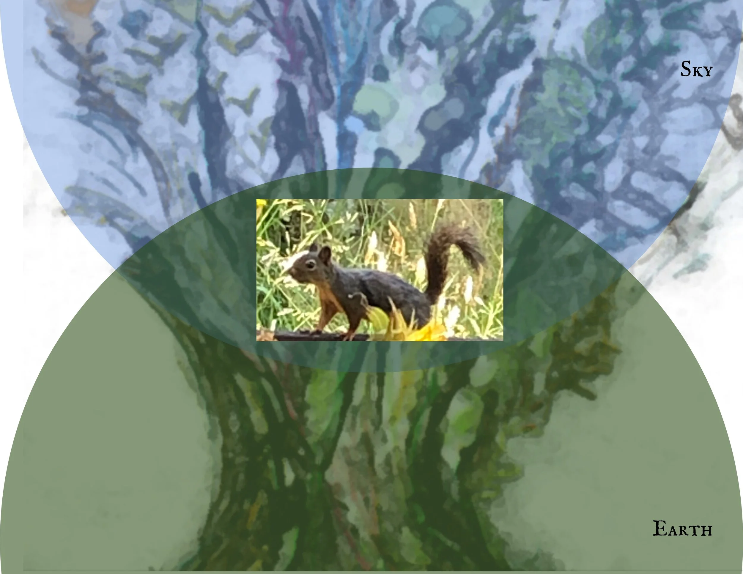 World Tree Mandorla 1-3.jpg