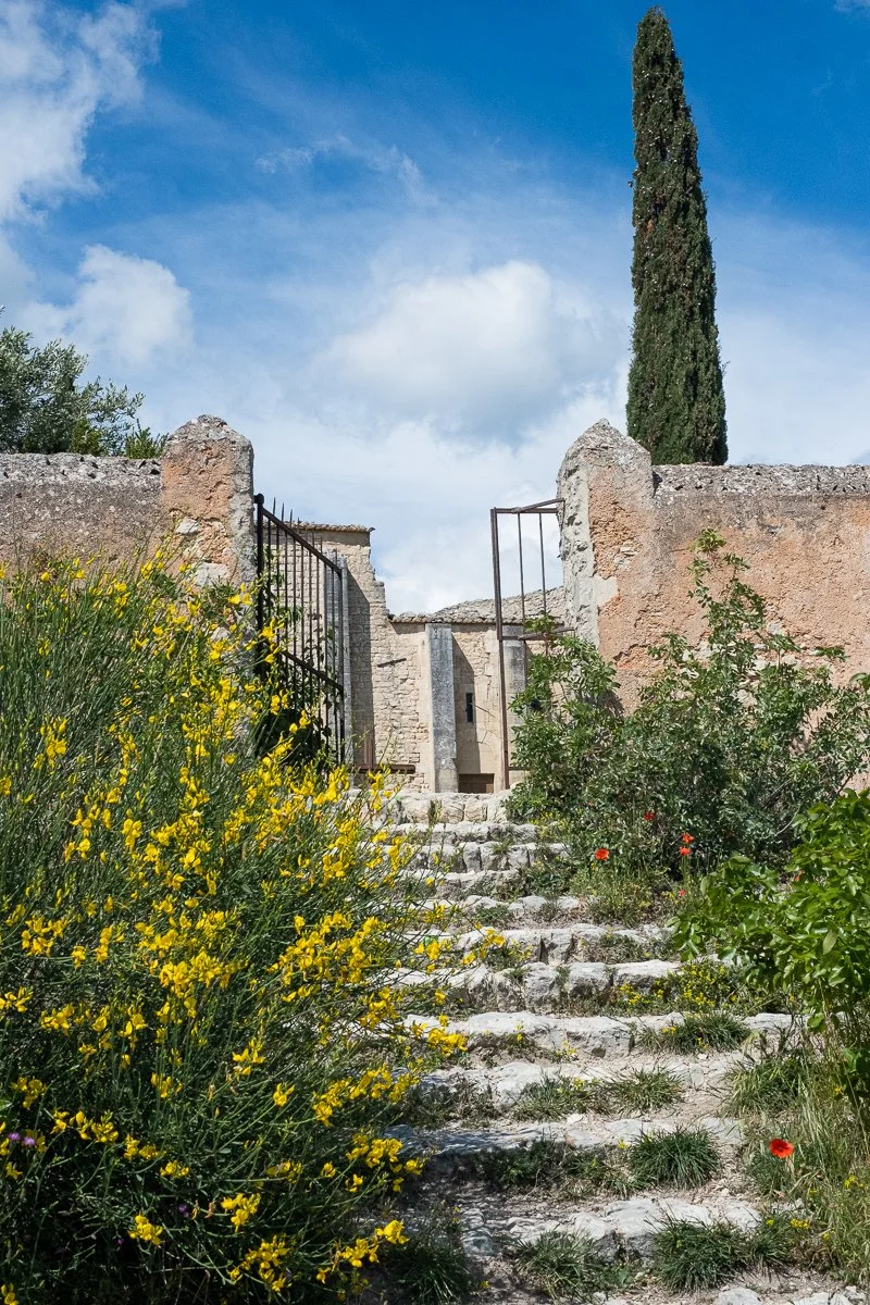 DSCF9233.jpg