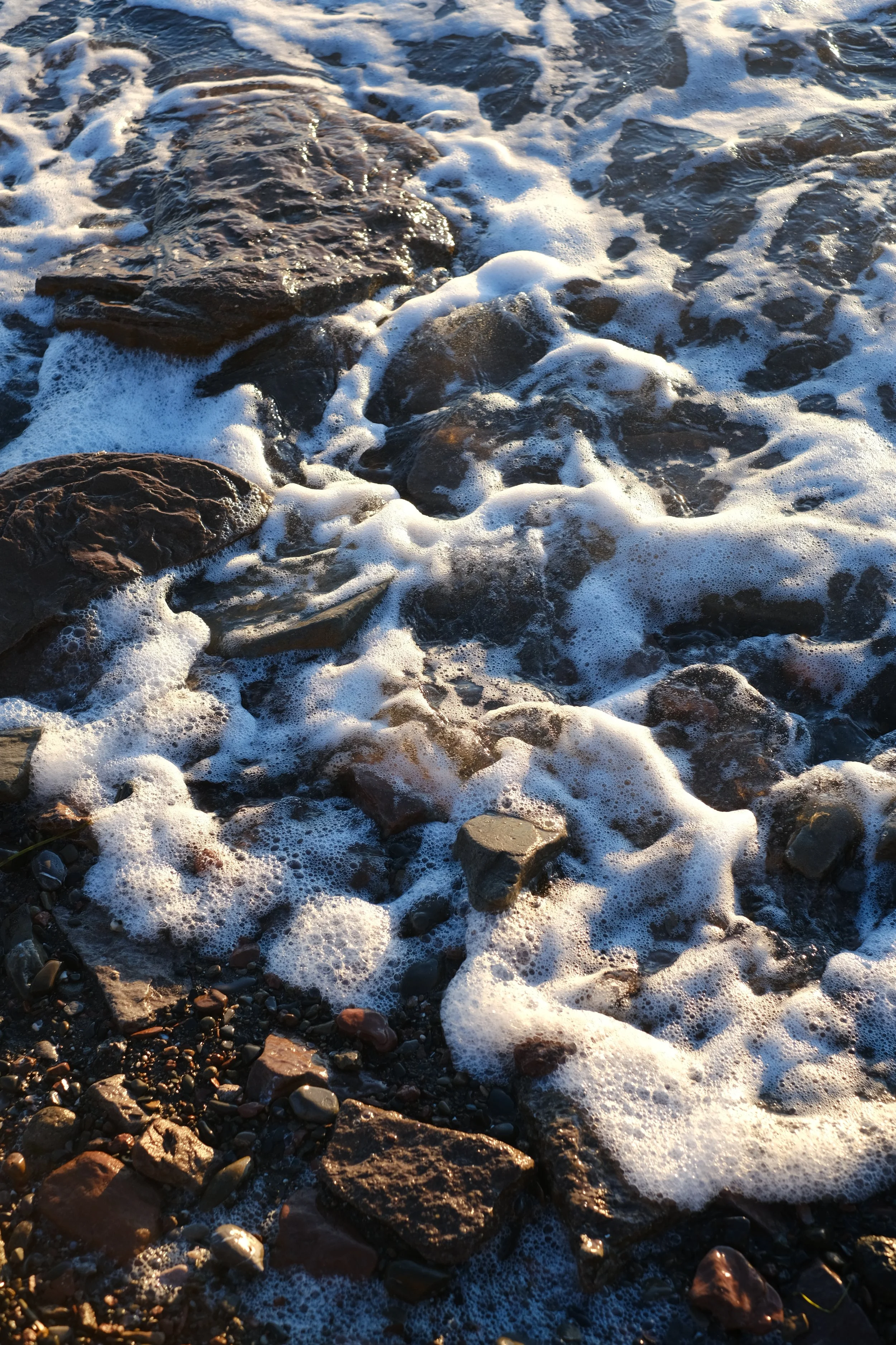 DSCF5124.JPG