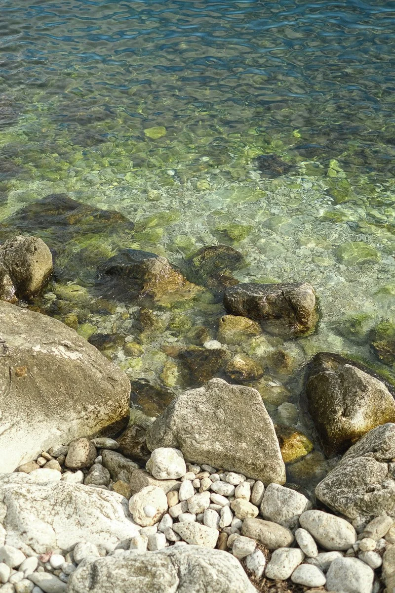 DSCF1311.jpg