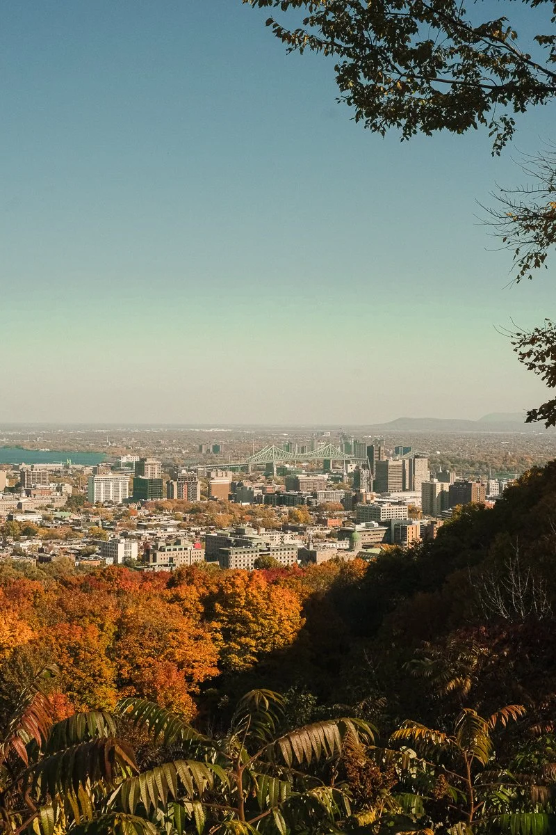 DSCF1493.jpg