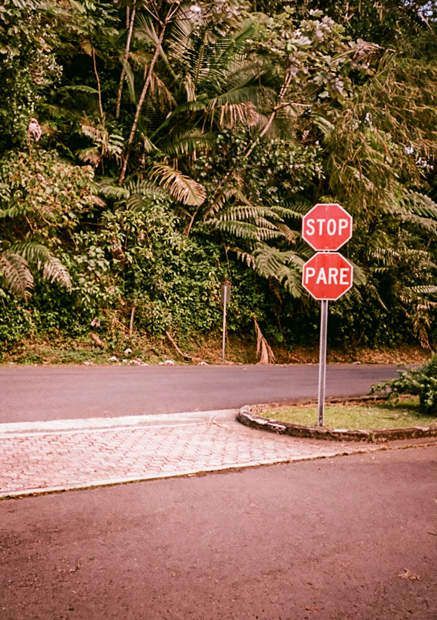 000053750044.jpg