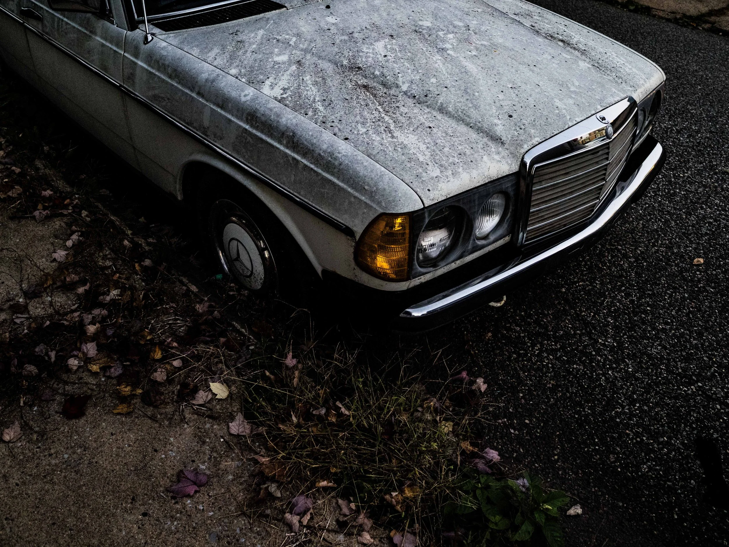 PA180209.jpg
