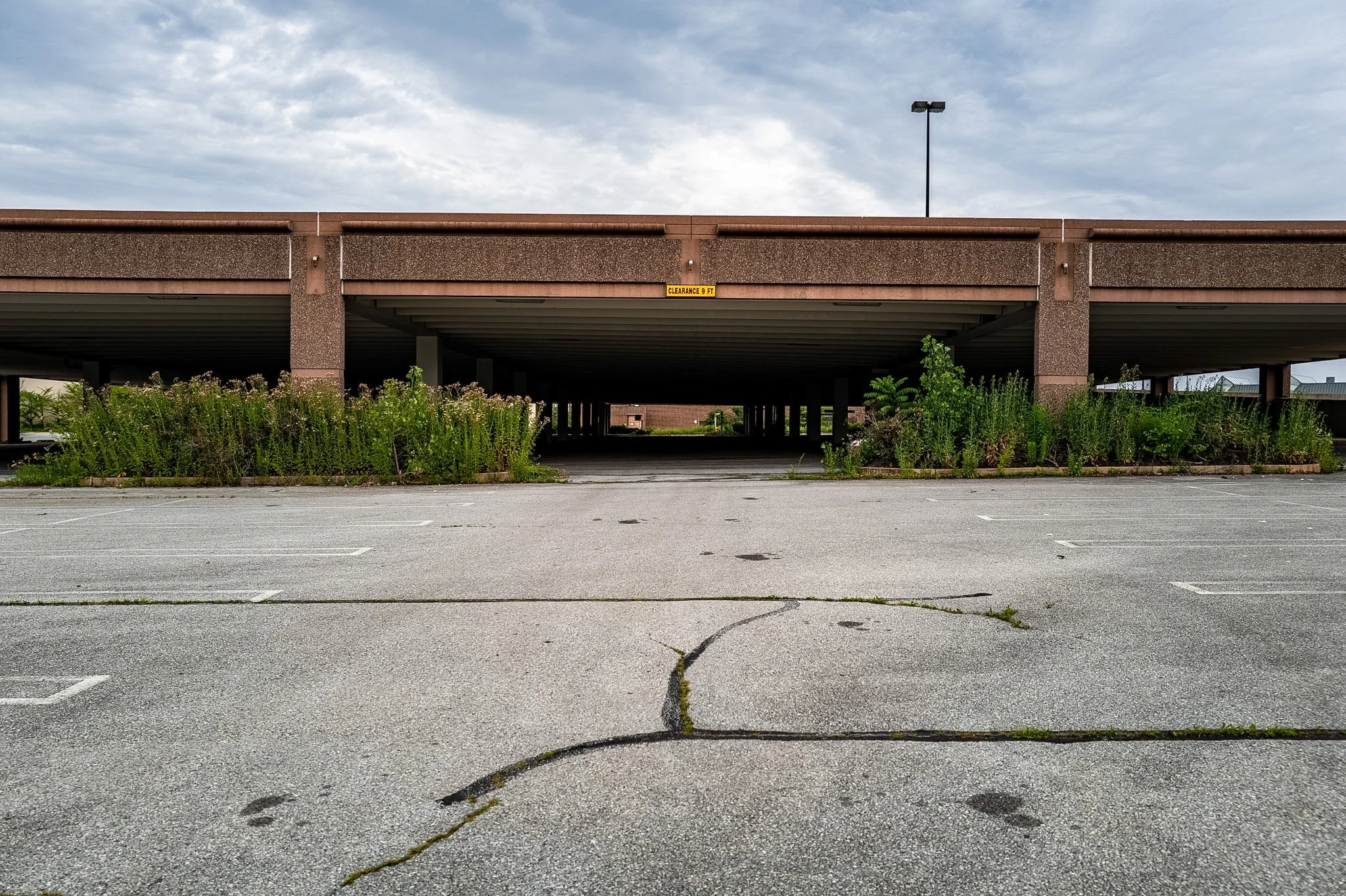 L1000563.jpg