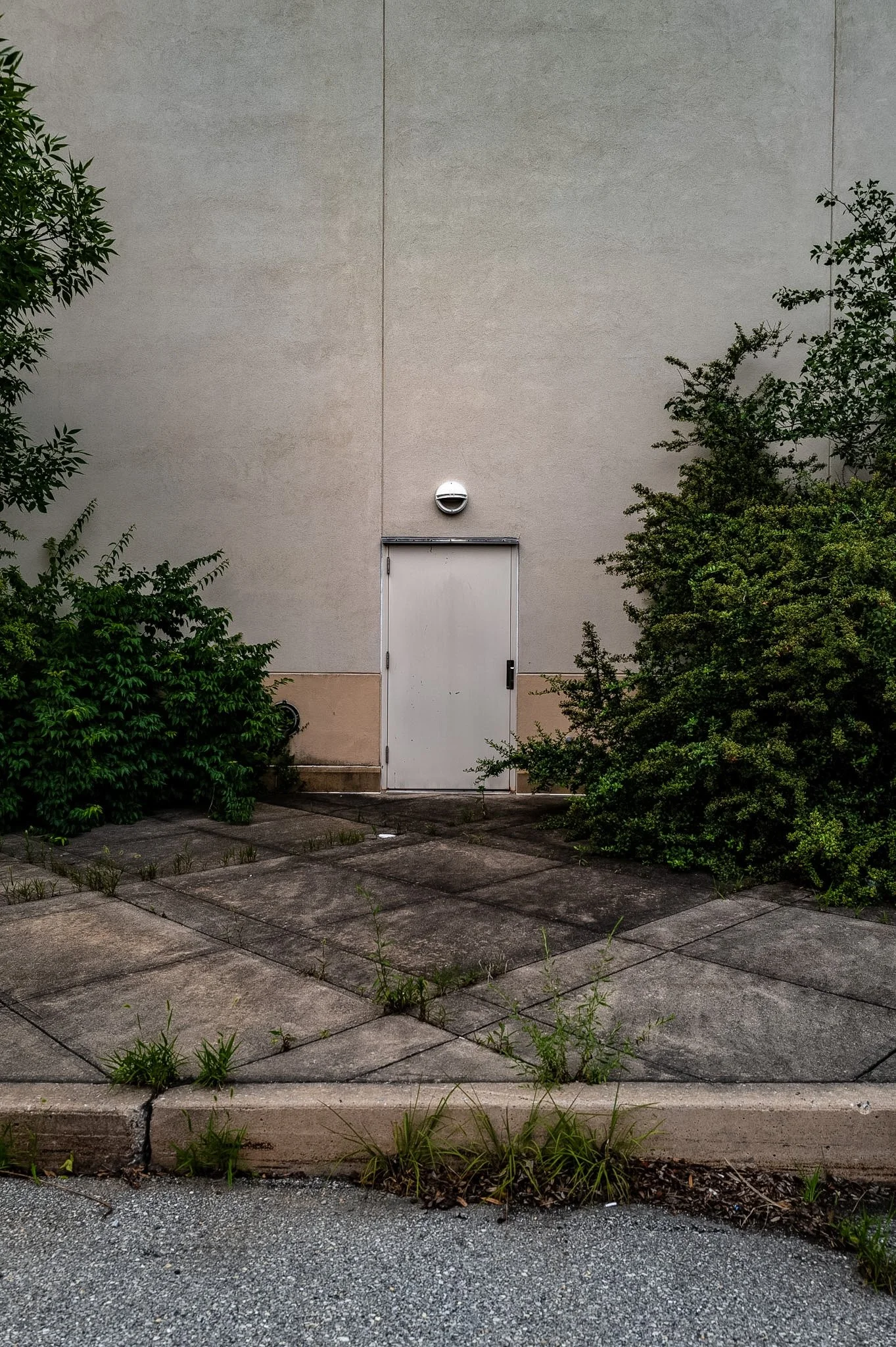 L1000622.jpg