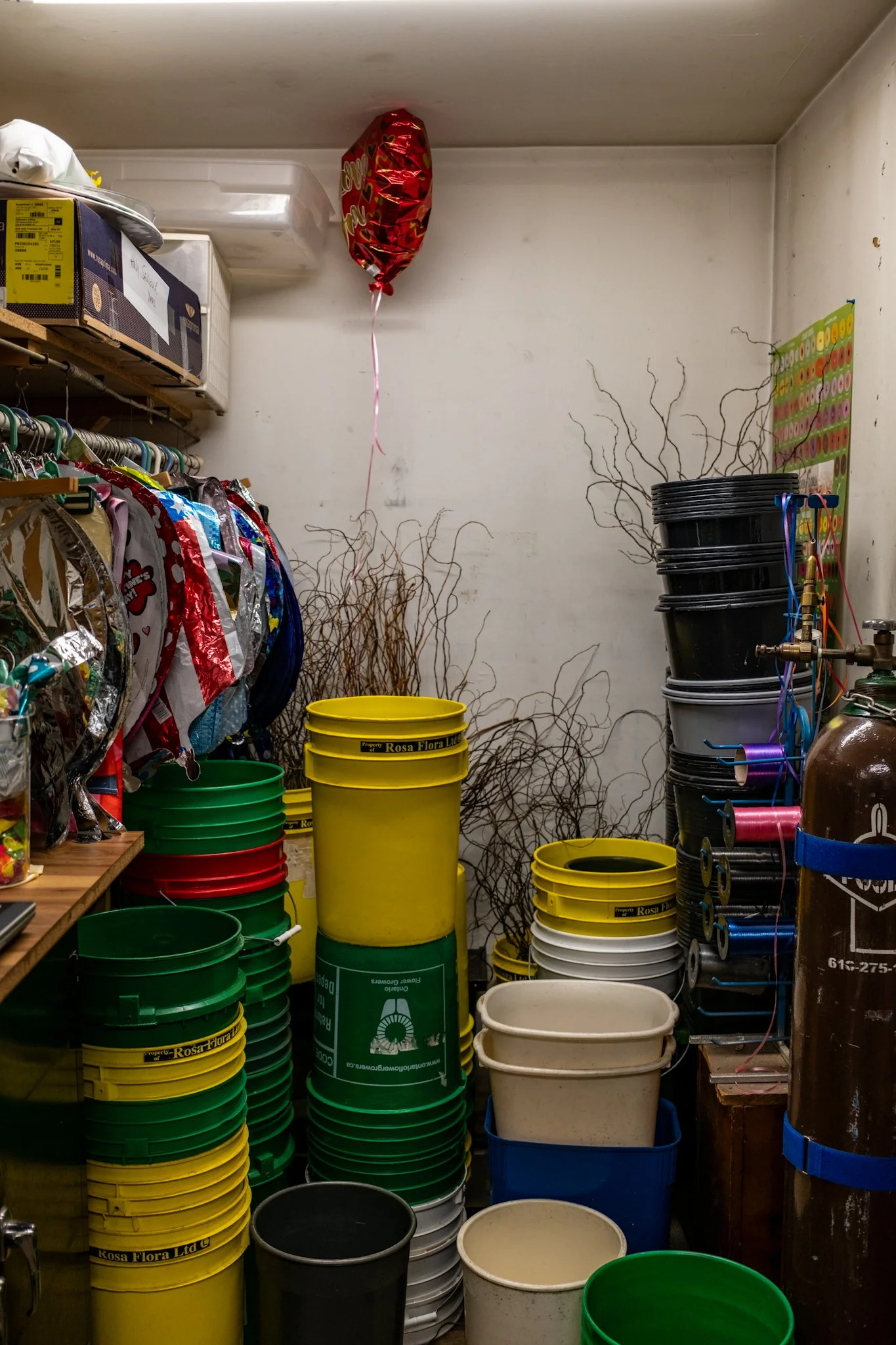DSCF1151.jpg
