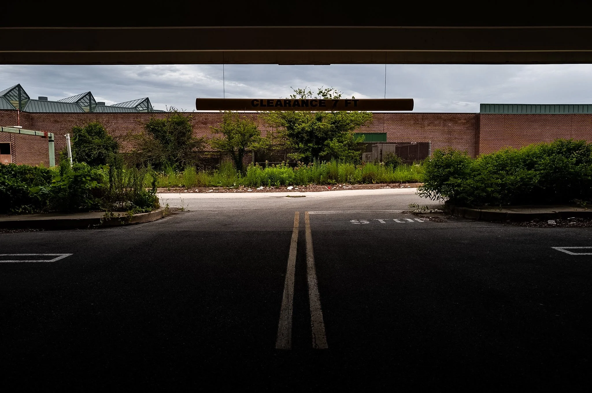 L1000628.jpg