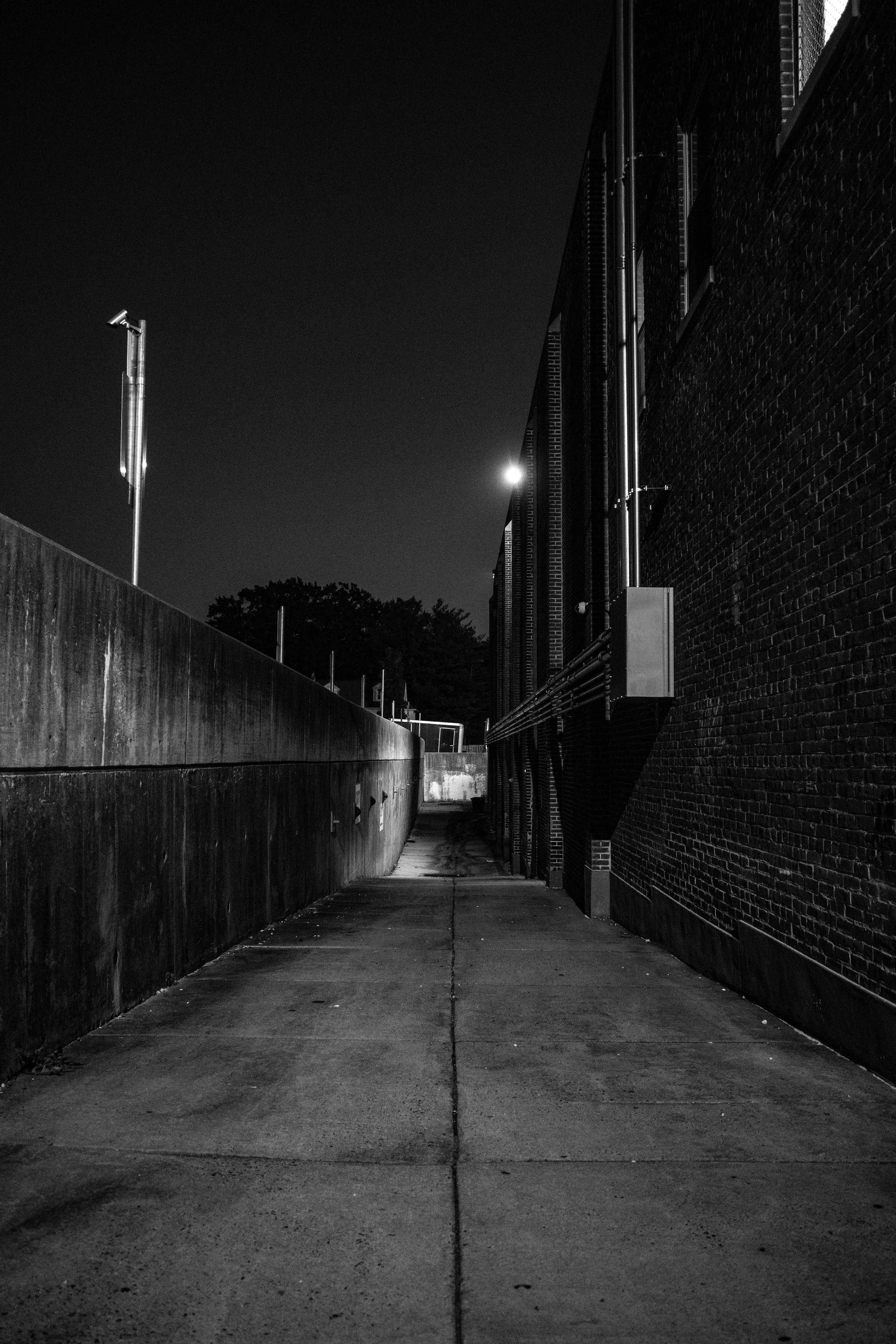 R0001347.jpg