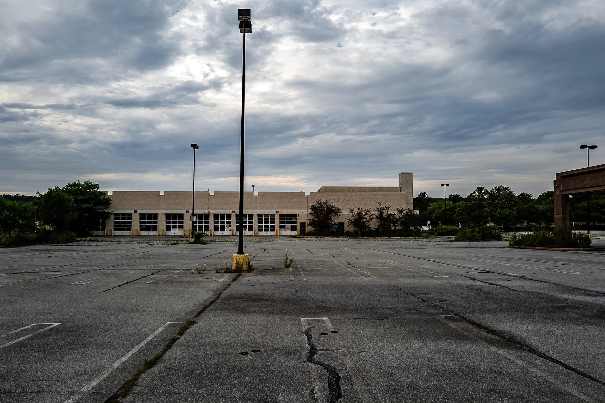 L1000566.jpg