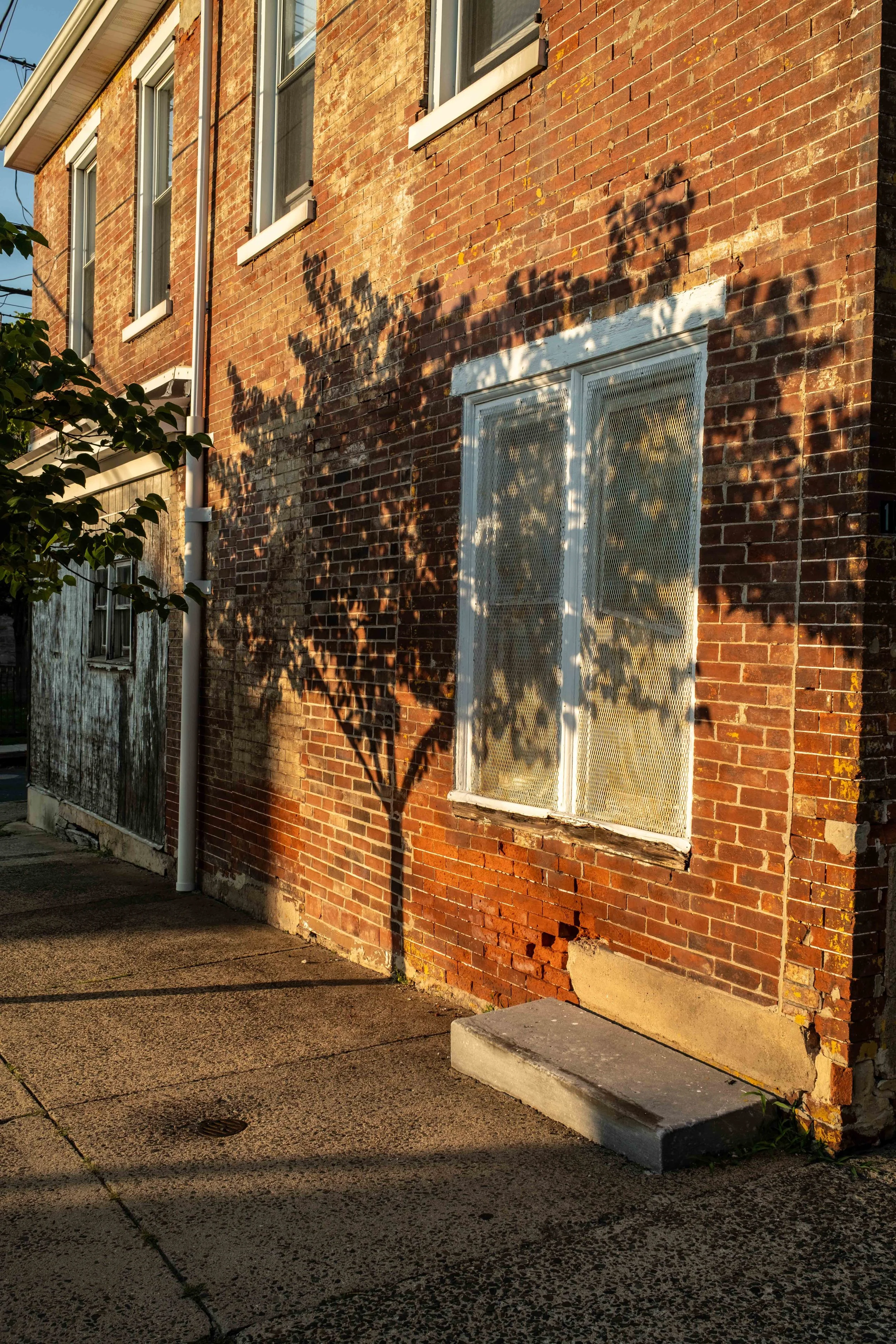 DSCF1248.jpg