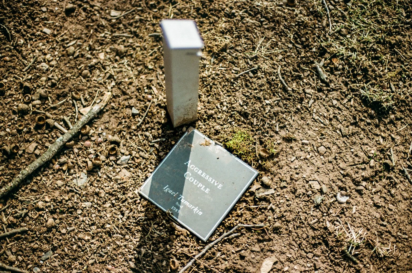 000076920001 (23).jpg