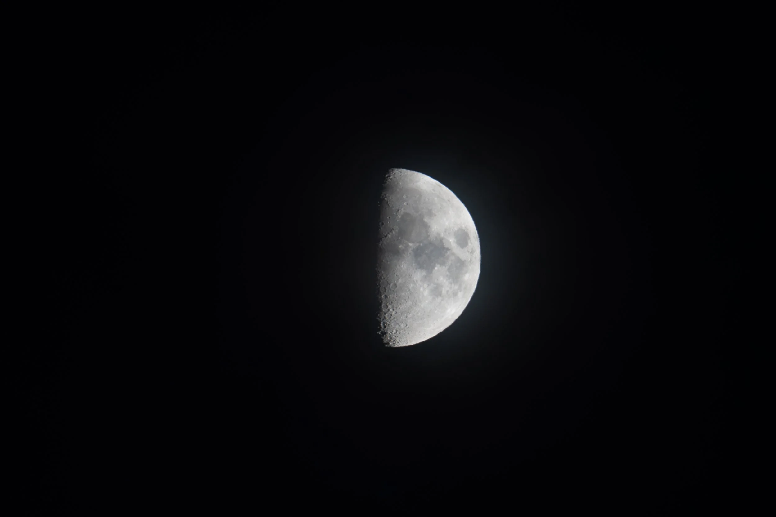 DSC01392.jpg
