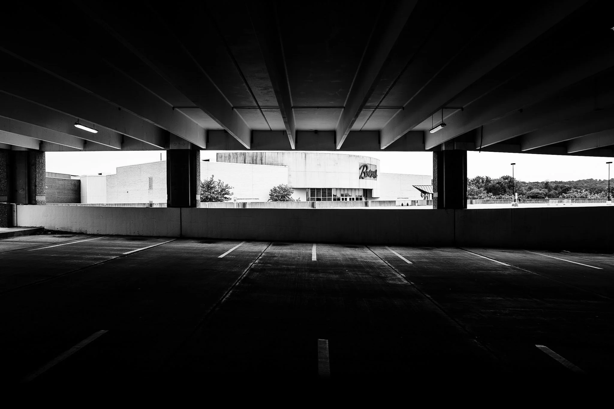 L1000631.jpg