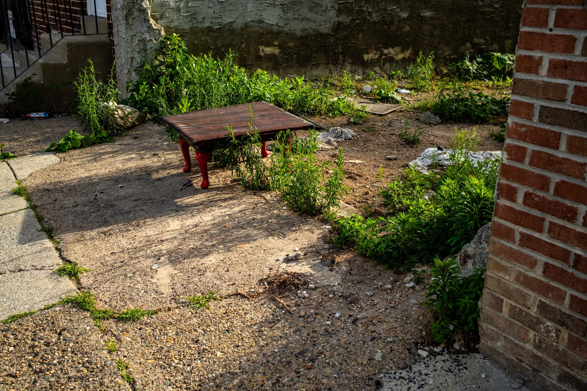 DSCF1171.jpg
