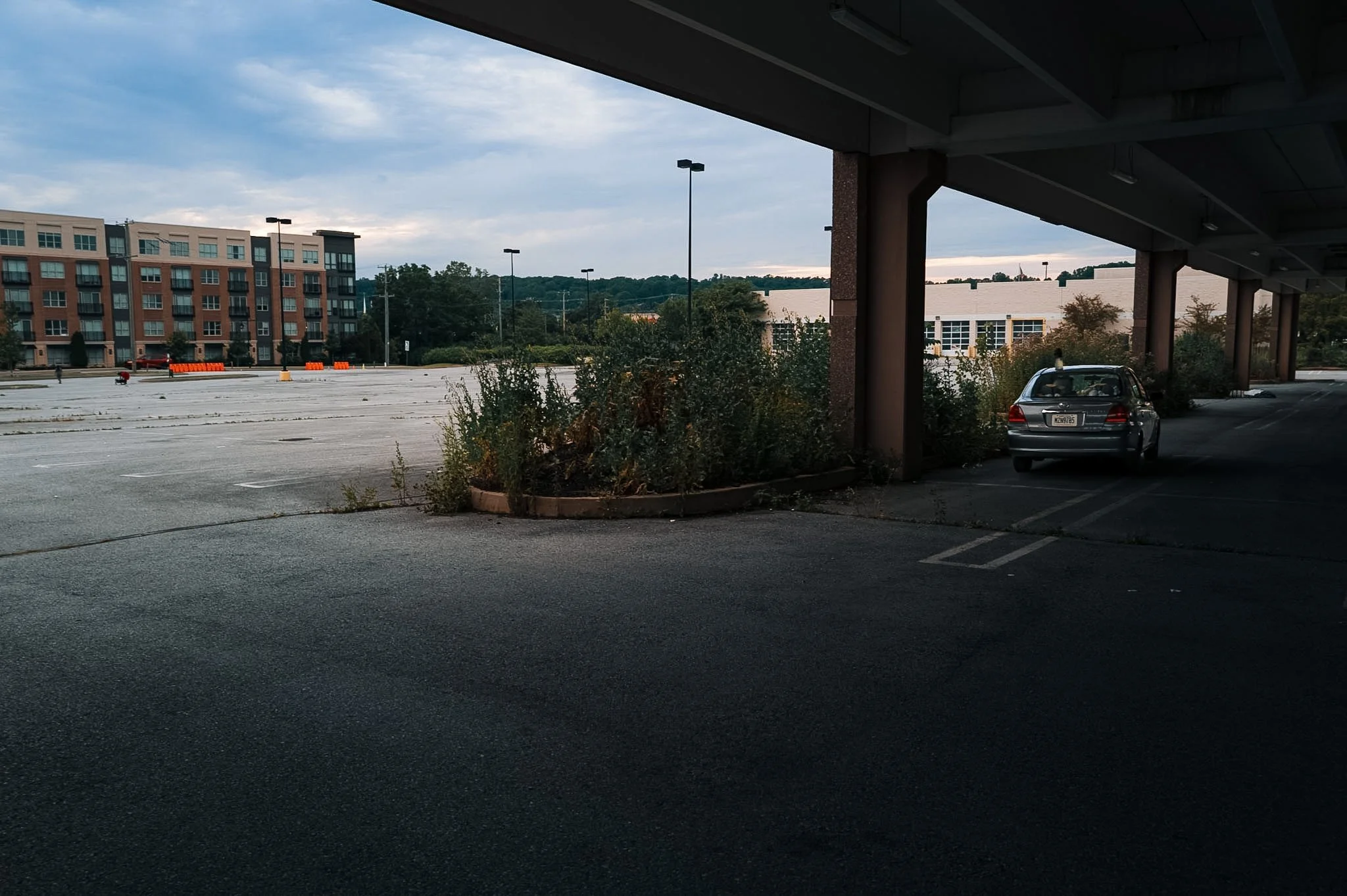 L1000644.jpg