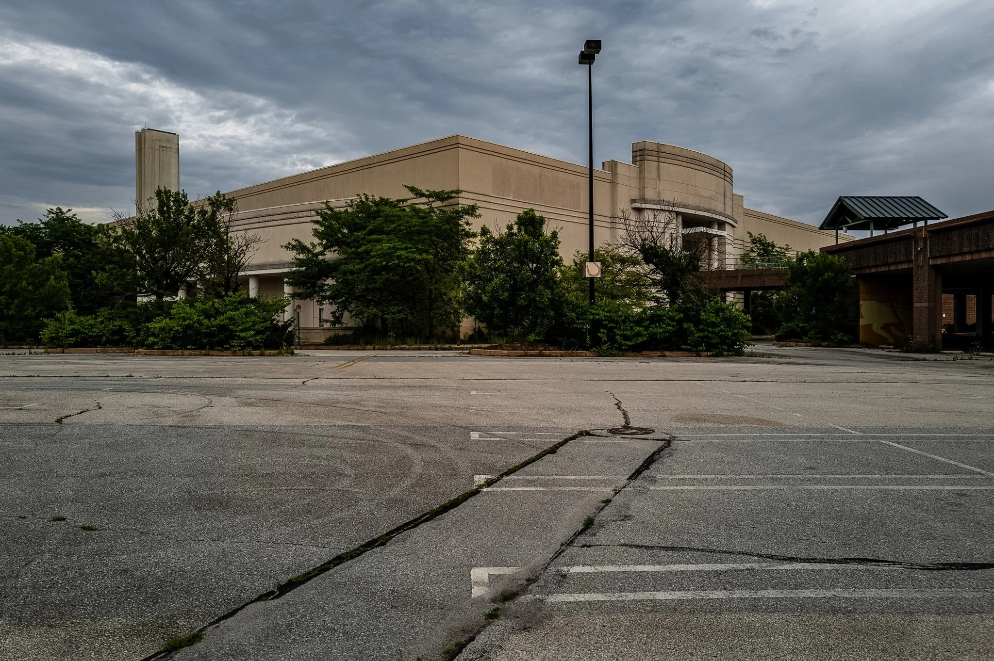 L1000593.jpg