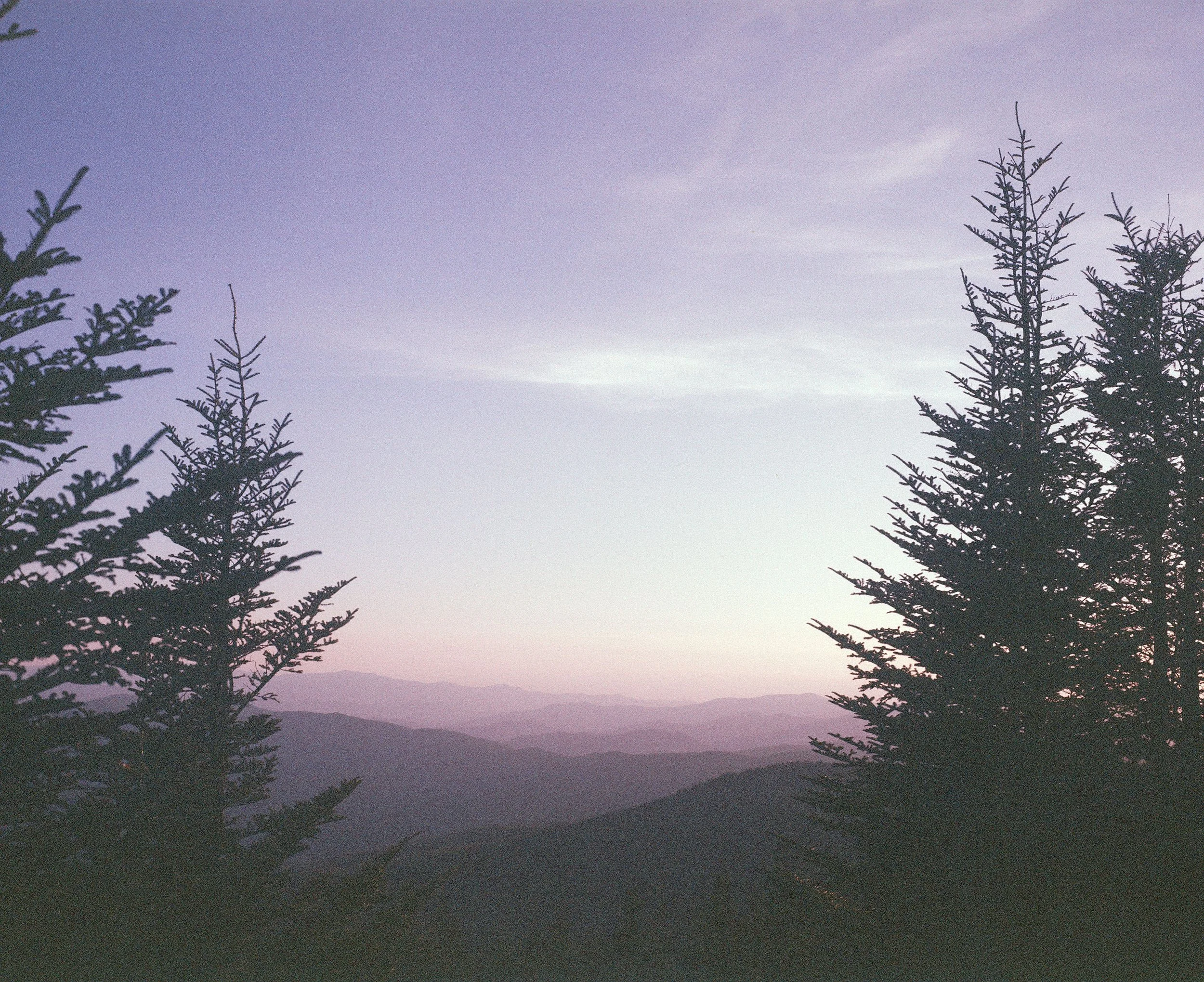 000012040015.jpg