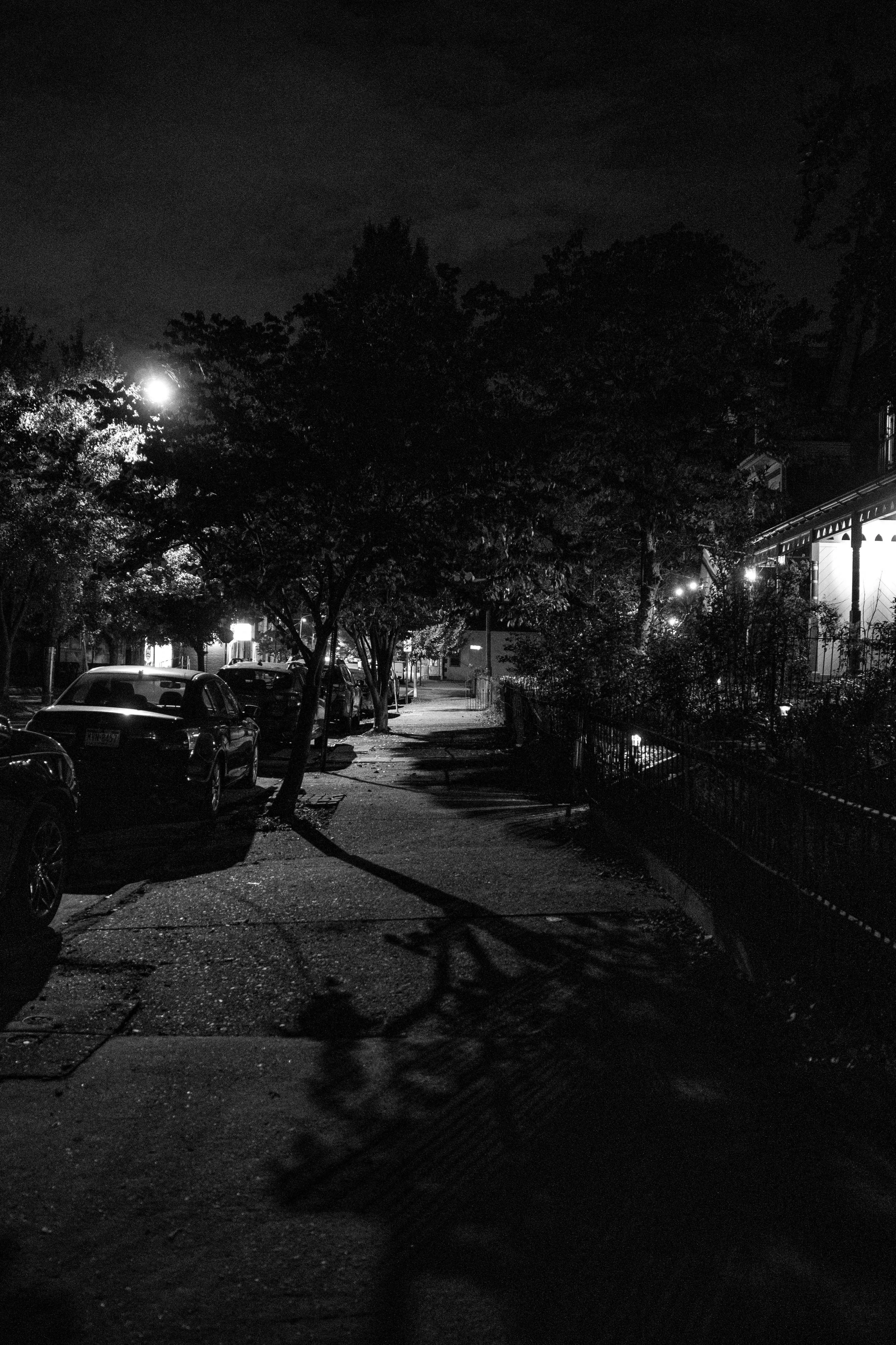 R0001262.jpg