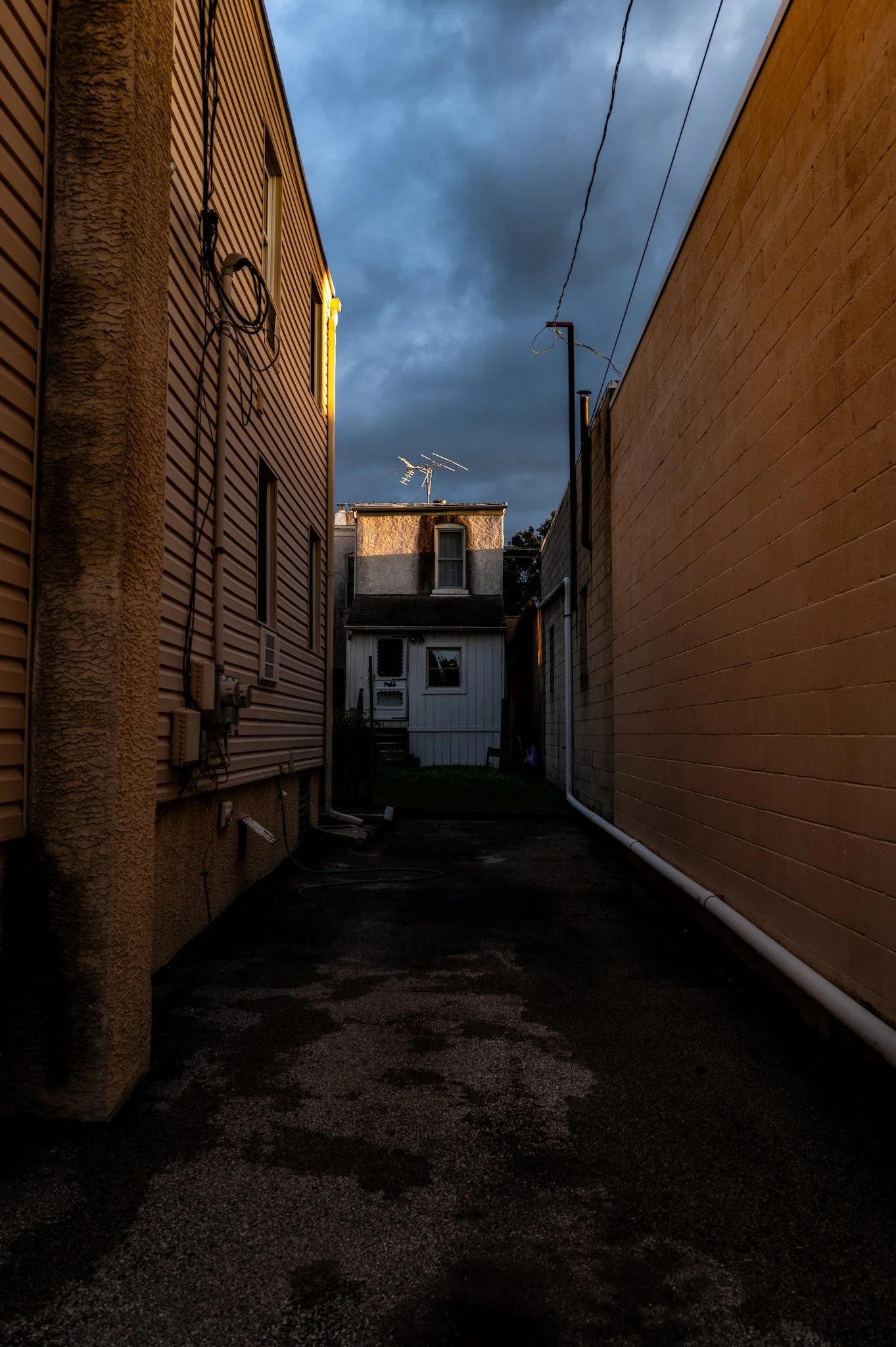 L1000843.jpg
